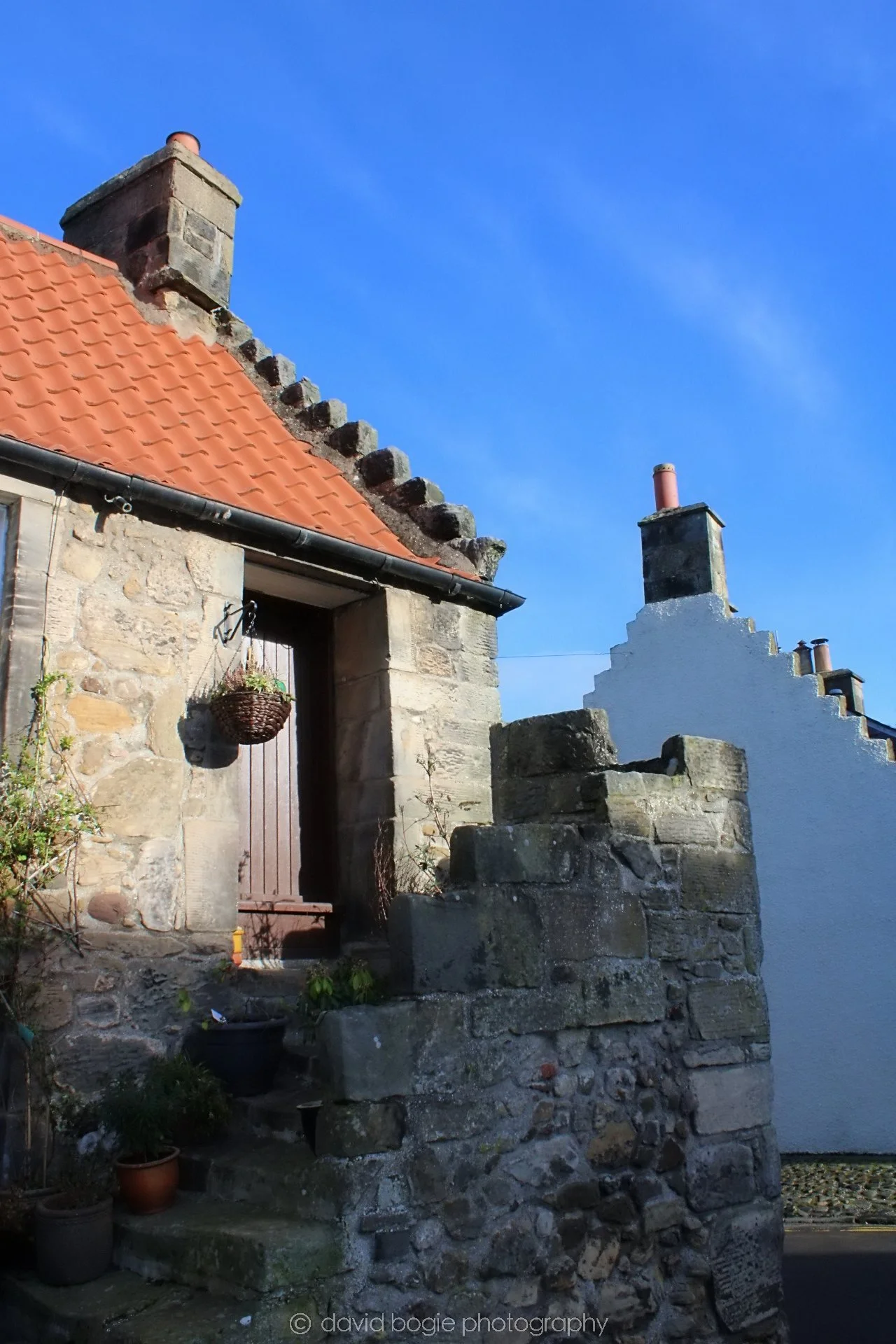 20190211 115349 Falkland 0010.jpg