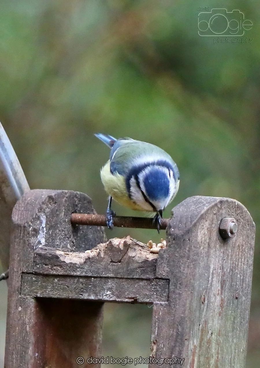 20260215 131753 Silverburn 0074.jpg