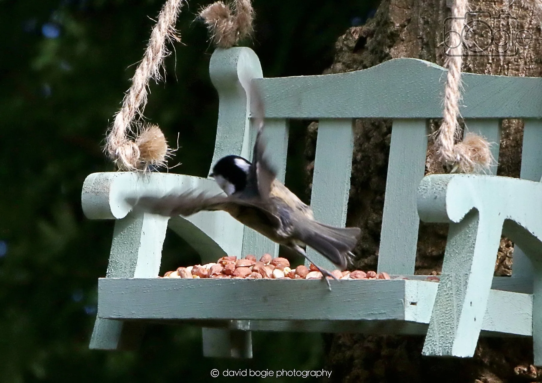 20260403 122408 Dunnikier 0190.jpg