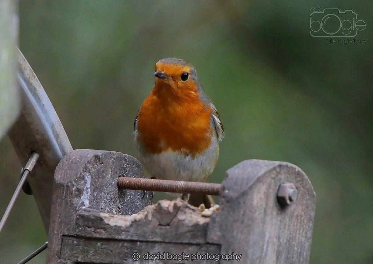 20260215 132303 Silverburn 0117.jpg