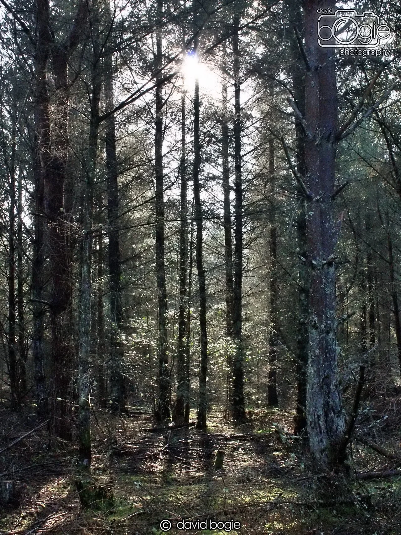 20191014 144705 Tentsmuir 0039.JPG