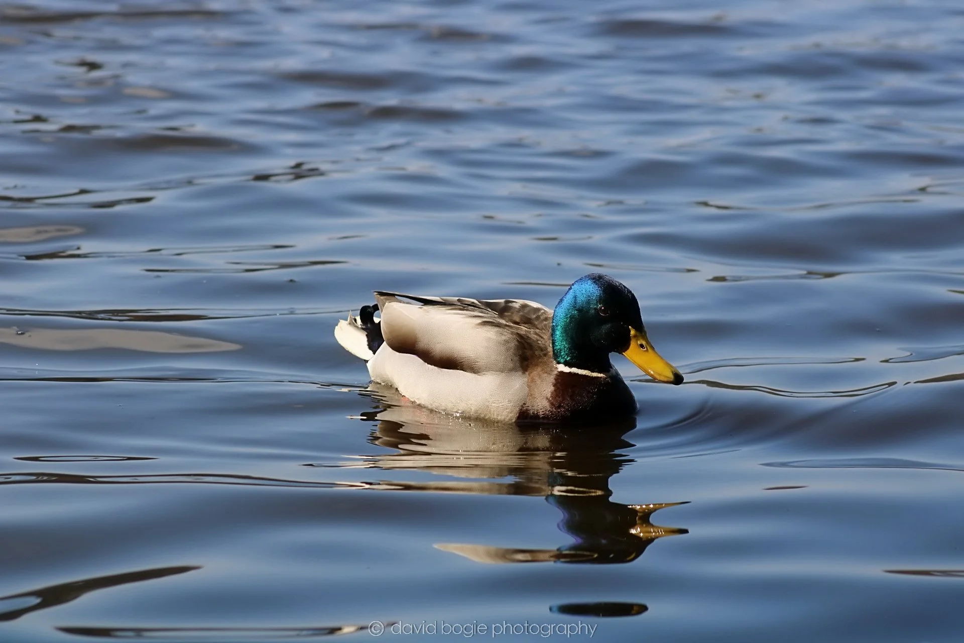 20190411 112015 Otterston 0023.jpg