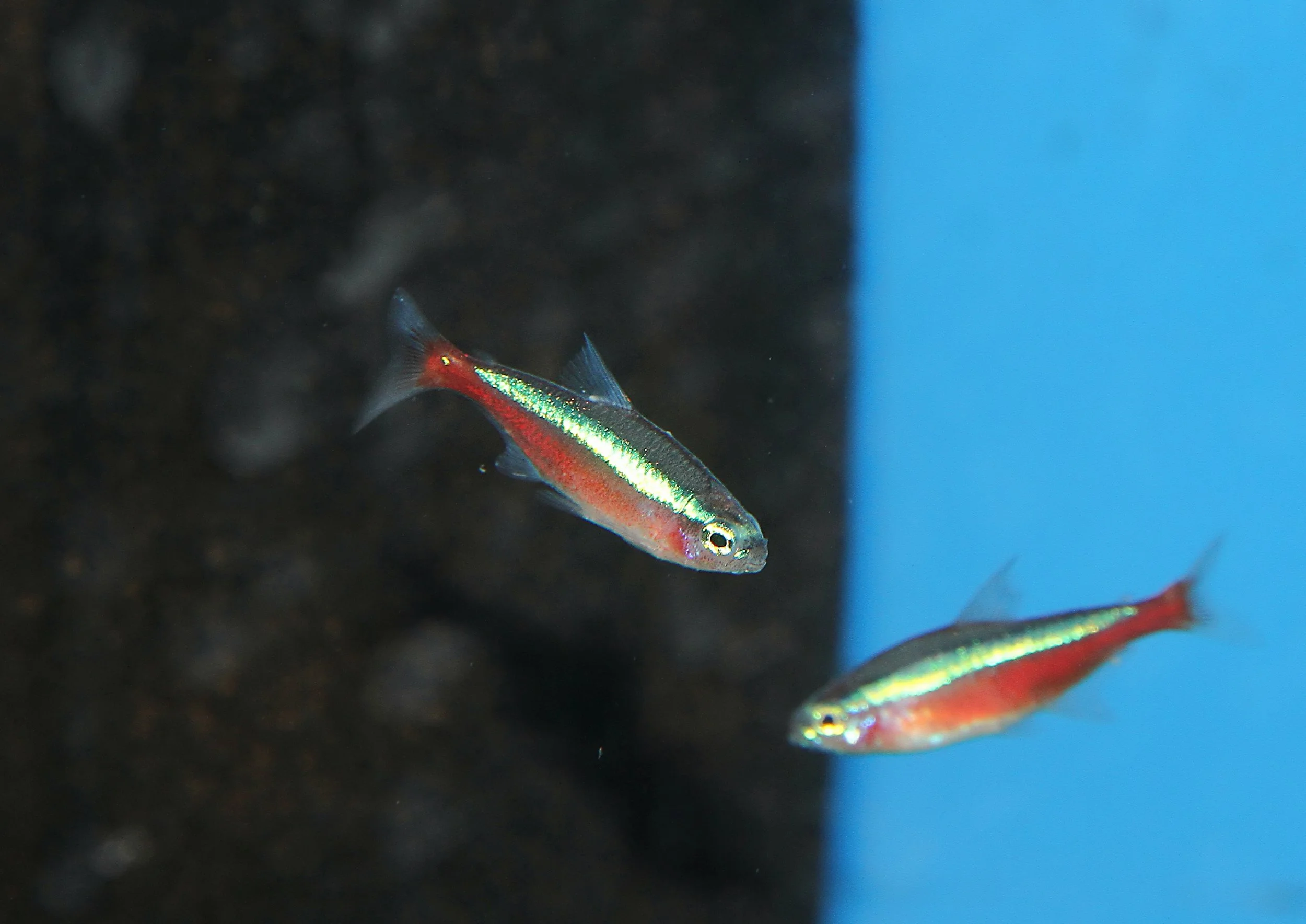 20260403 141804 IMG_0167.jpg