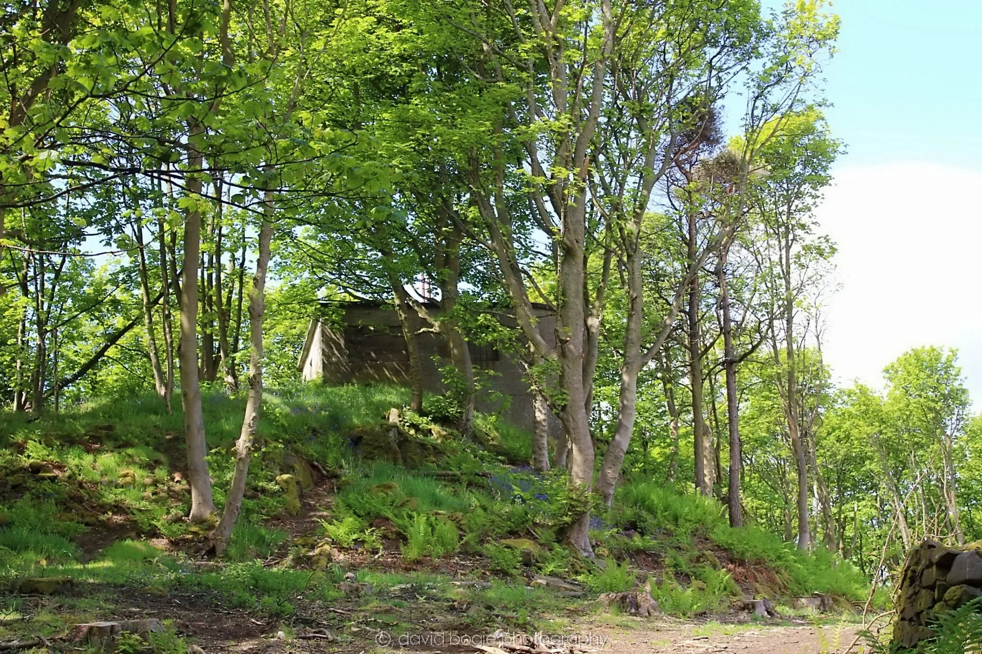 20190521 122235 Braefoot & Charles Hill 0030.jpg
