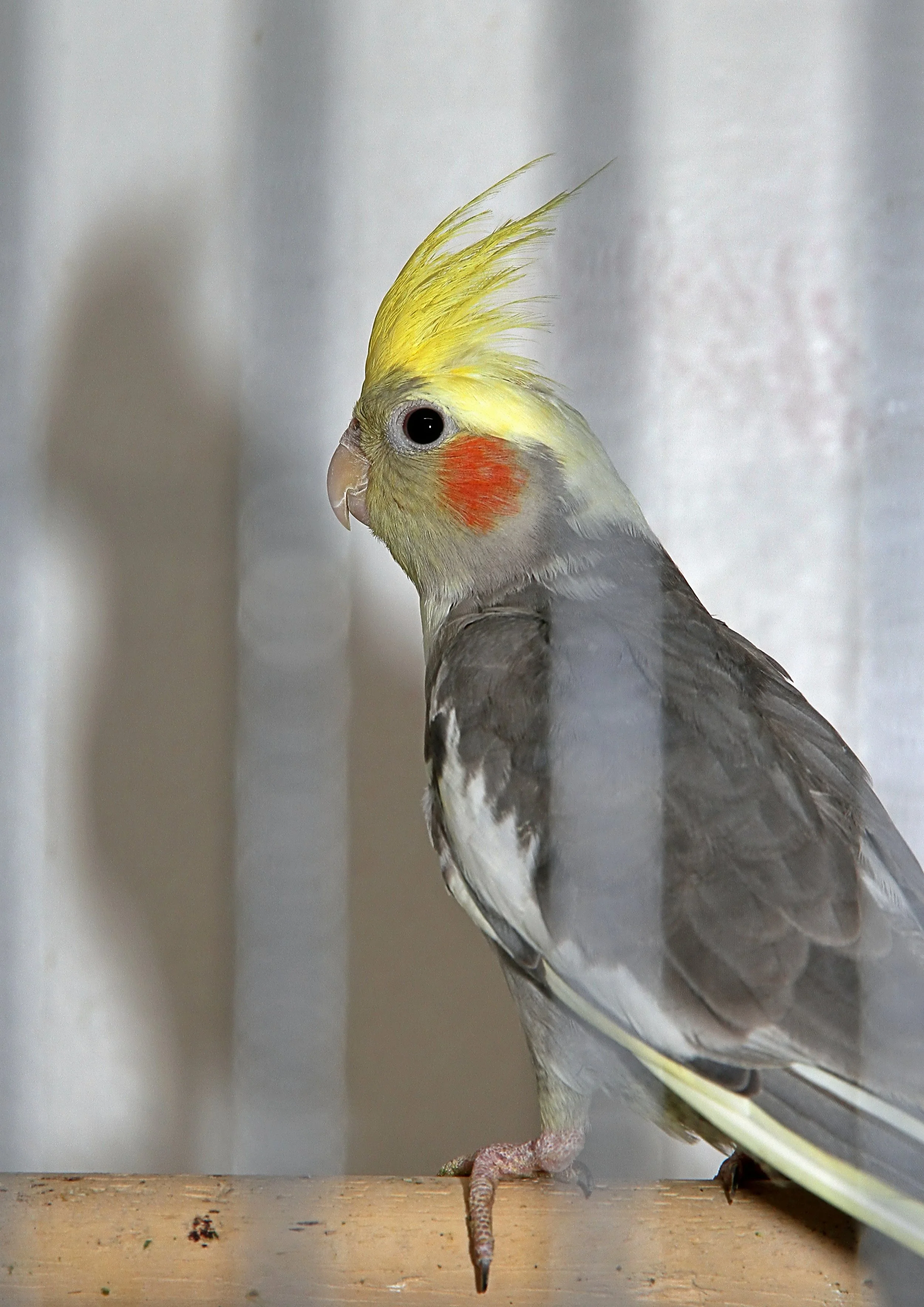 20260331 105220 K&S 0368.jpg