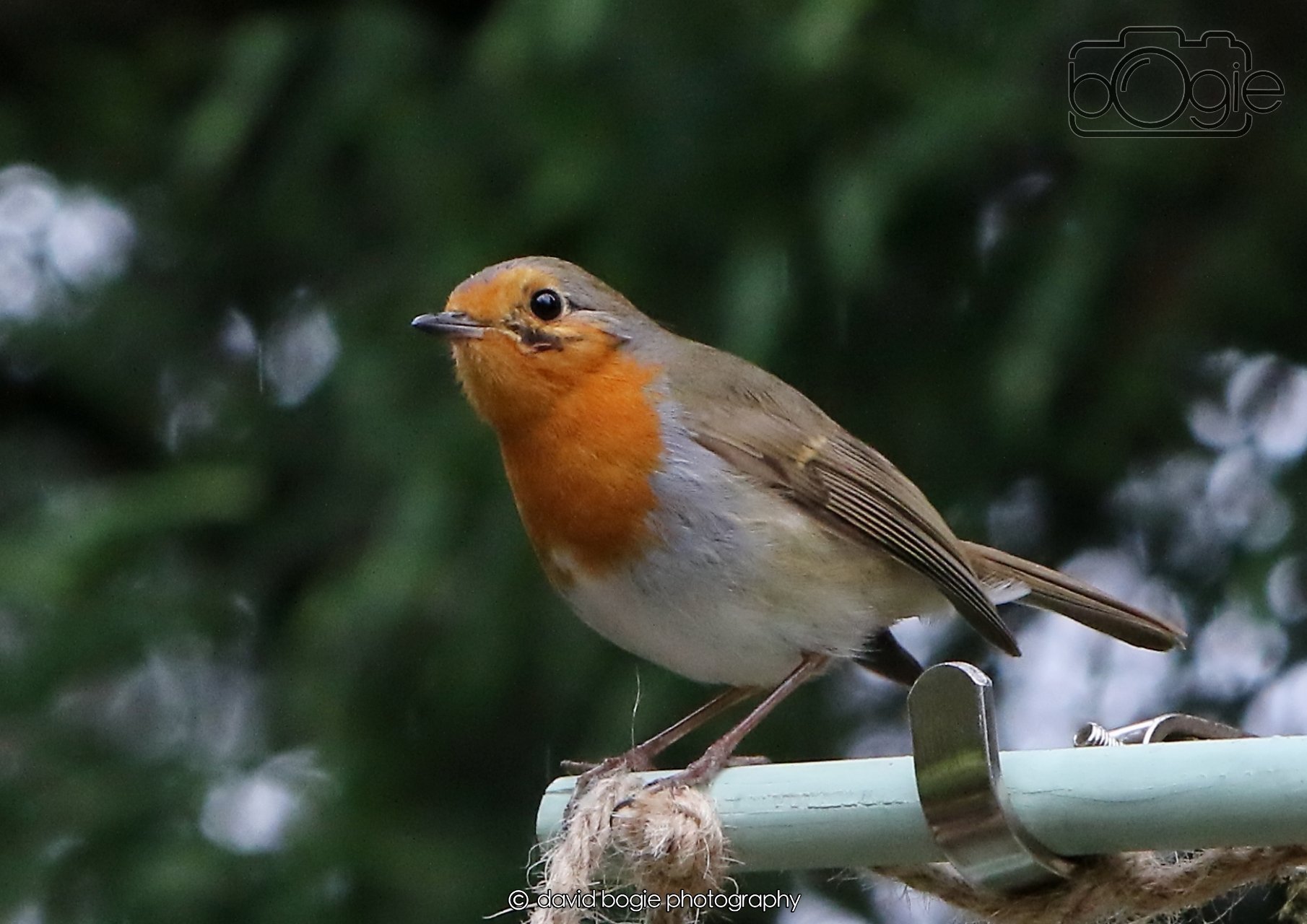 20260403 130337 Dunnikier 0339.jpg