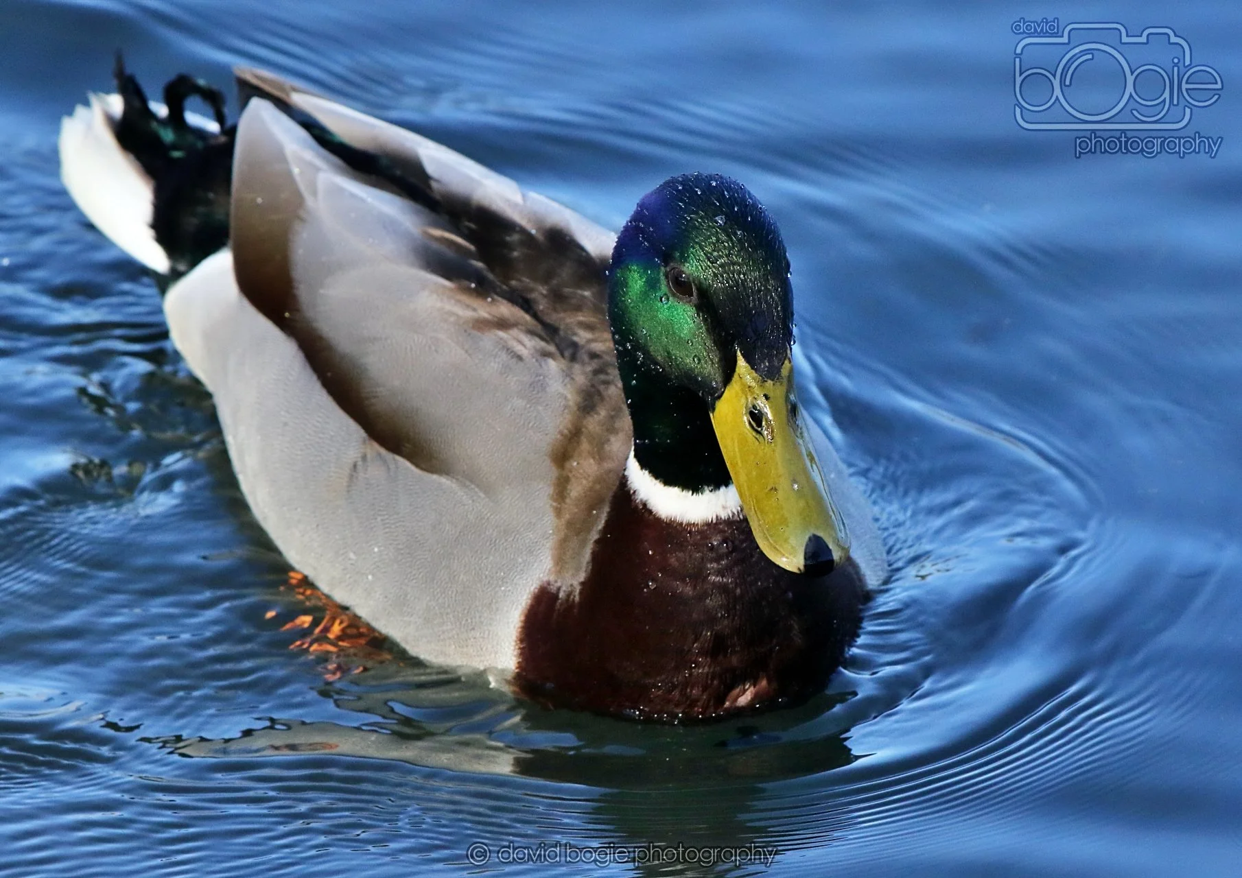 20260319 113739 Beveridge Park 0183.jpg