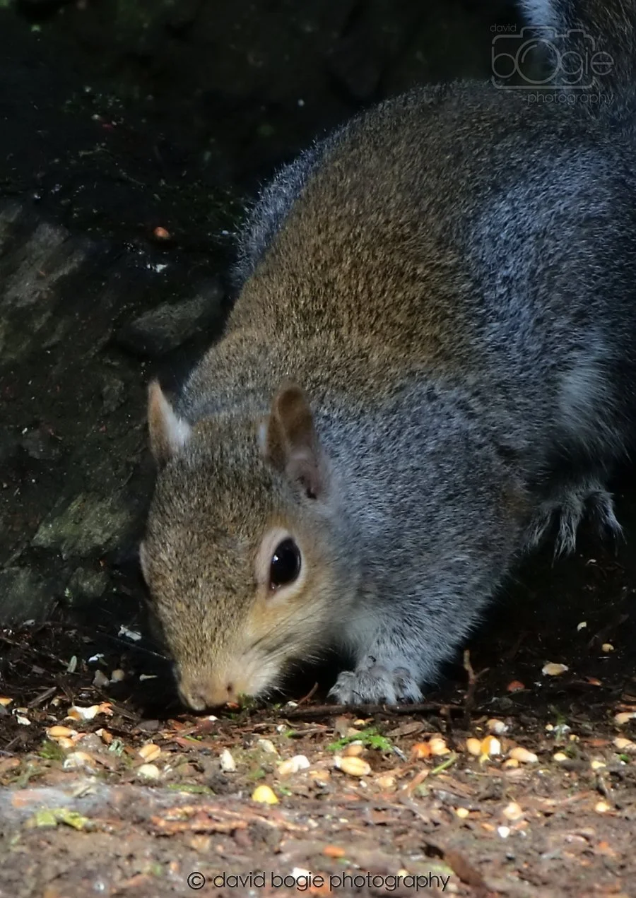 20260306 120353 Dunnikier 0536.jpg