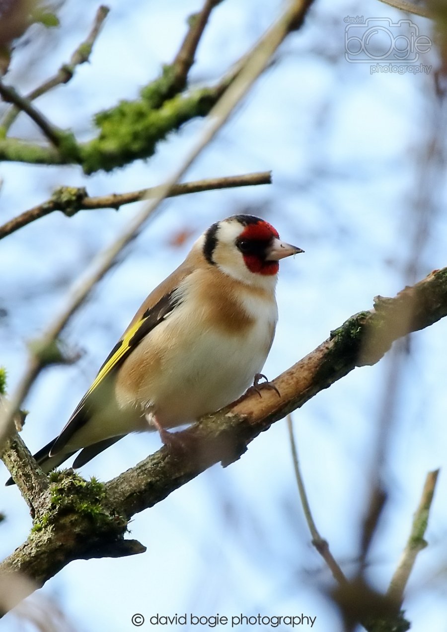 20260306 105341 Dunnikier 0122.jpg