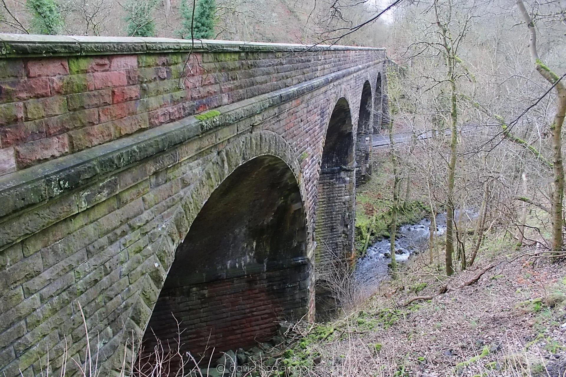20190219 141716 Glenfarg 0027.jpg