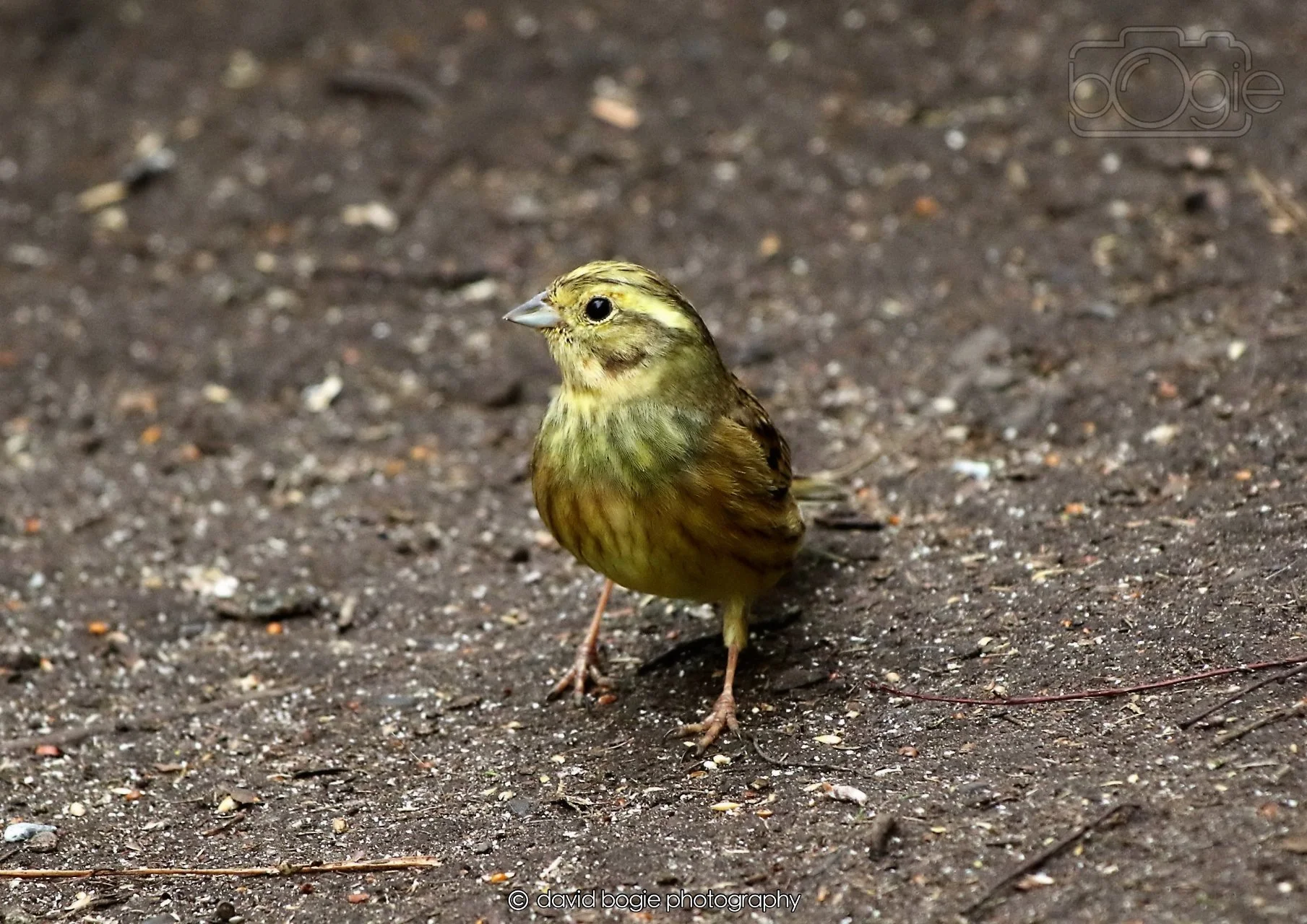 20260326 113526 Silverburn 0214.jpg