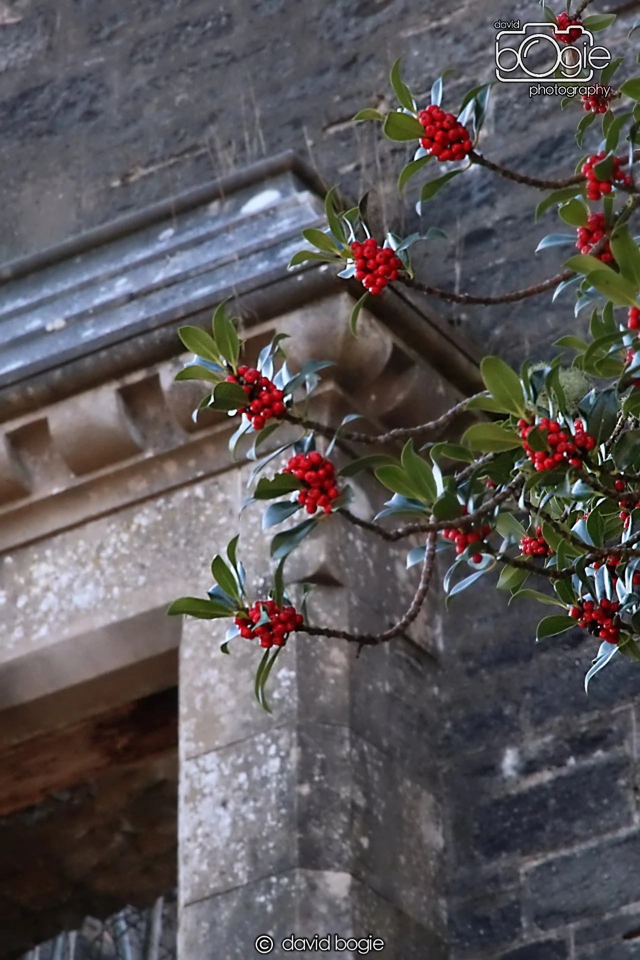 20221215 00093 Dunalistair.JPG