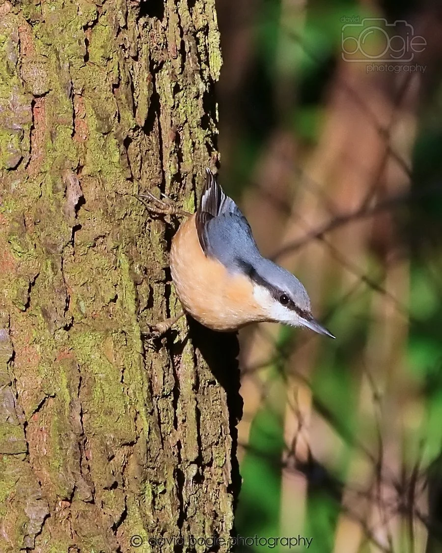 20260128 125115 Dunnikier 0077.jpg