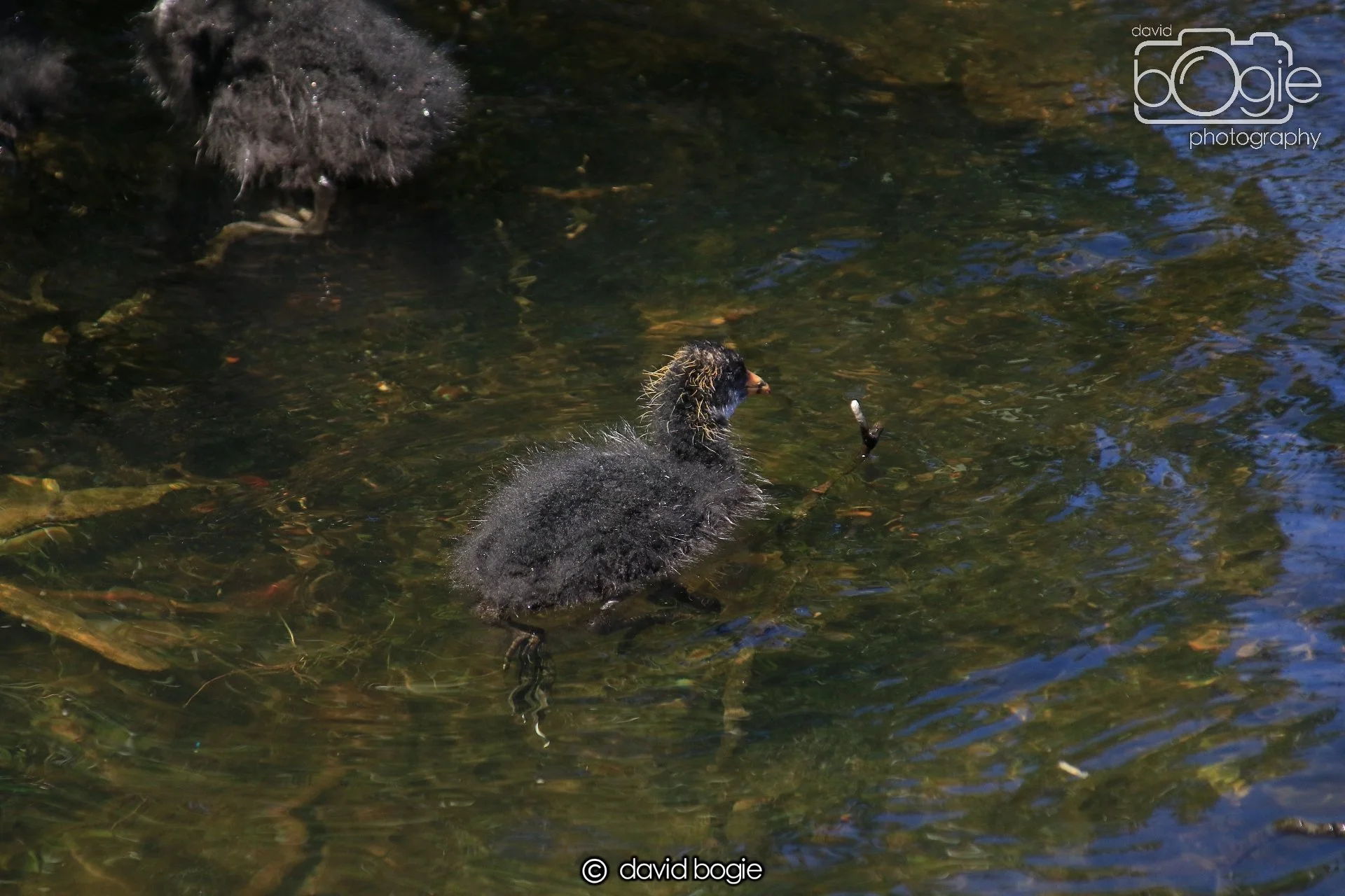 20250517 124337 Beveridge Park 0541.JPG