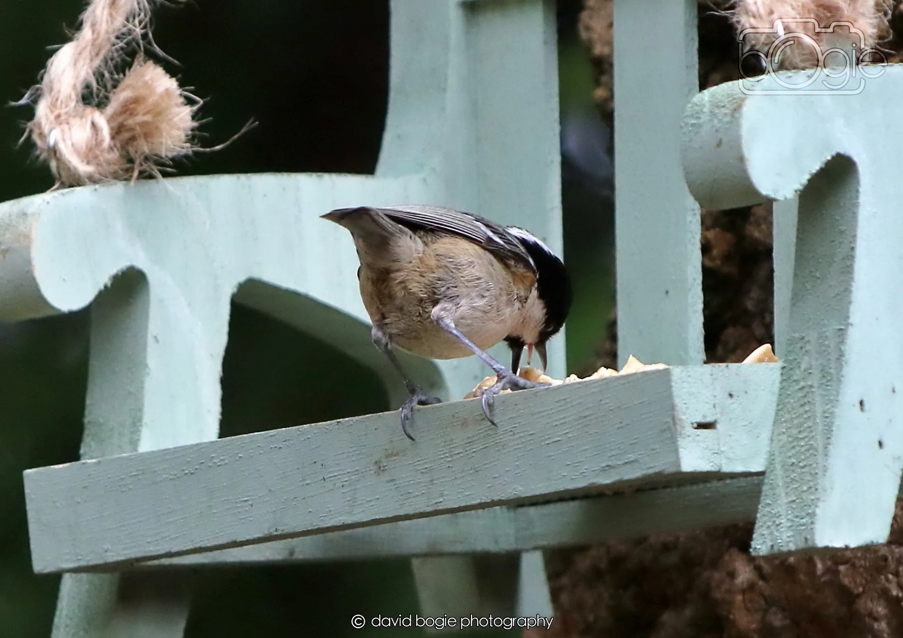 20260330 115655 Dunnikier 0302.jpg