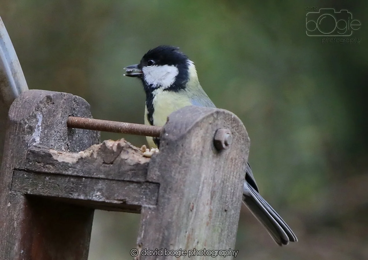 20260215 132122 Silverburn 0091.jpg