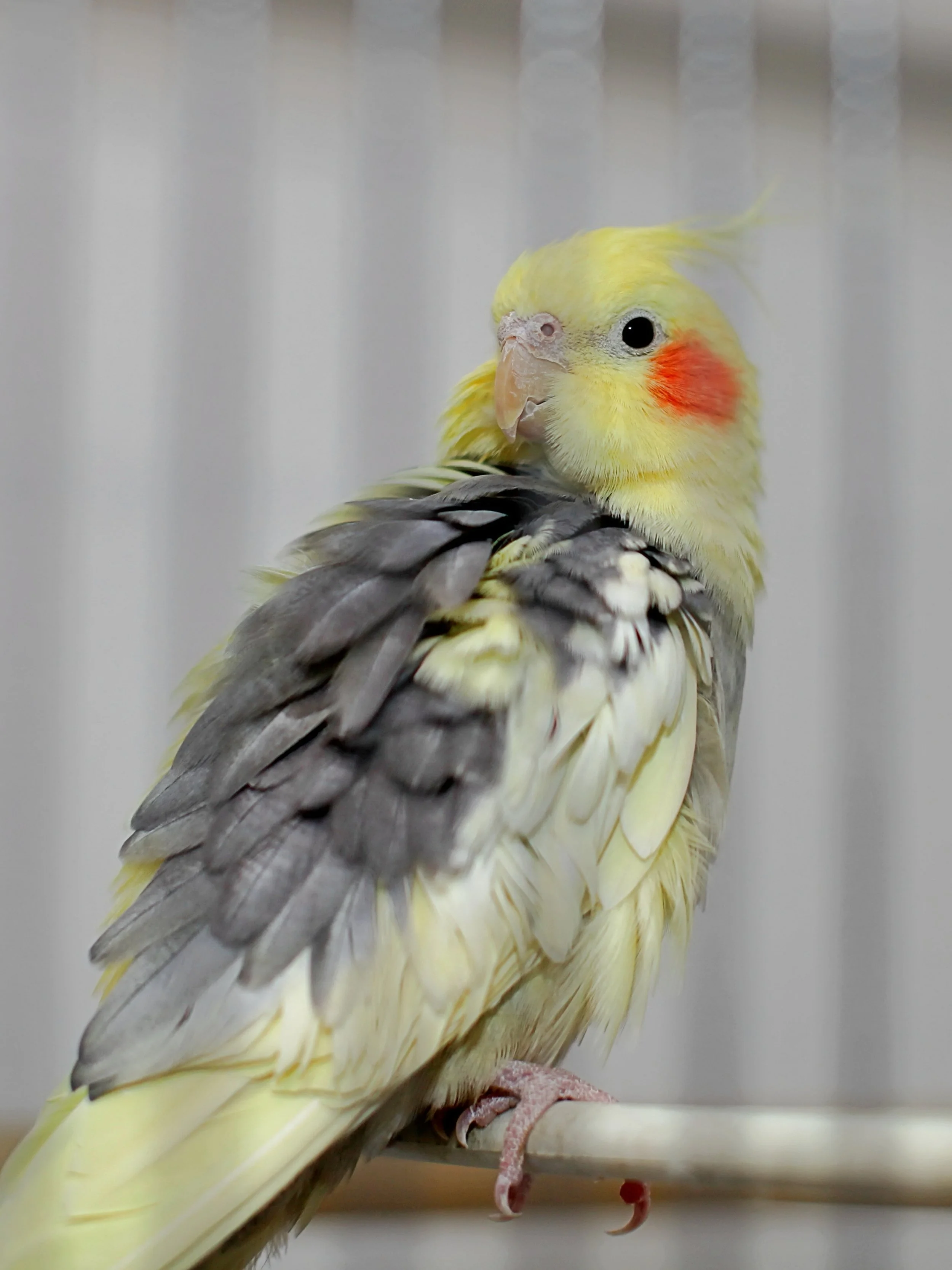 20251117 124940 IMG_0029.JPG