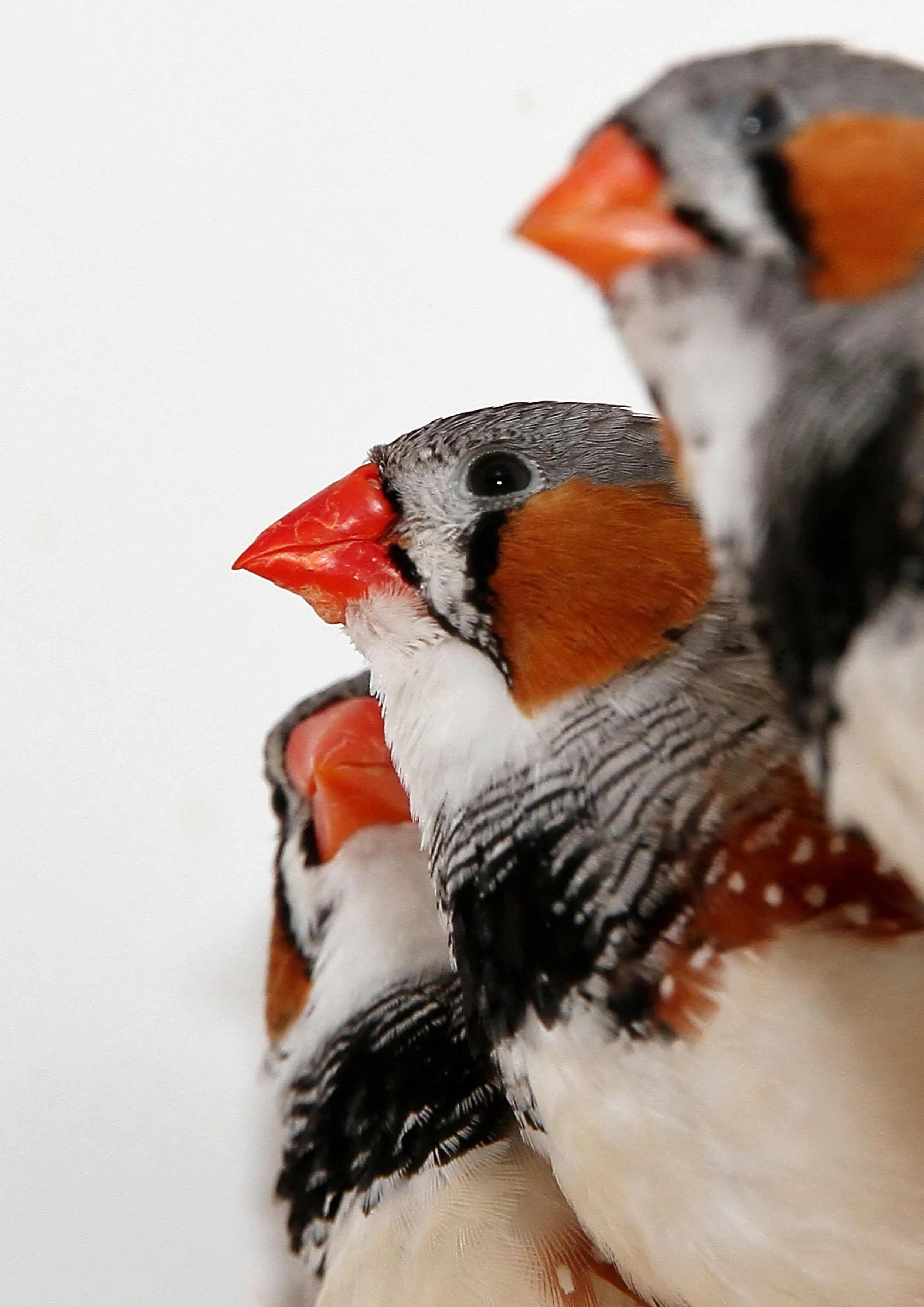 20260331 111918 K&S 0489.jpg