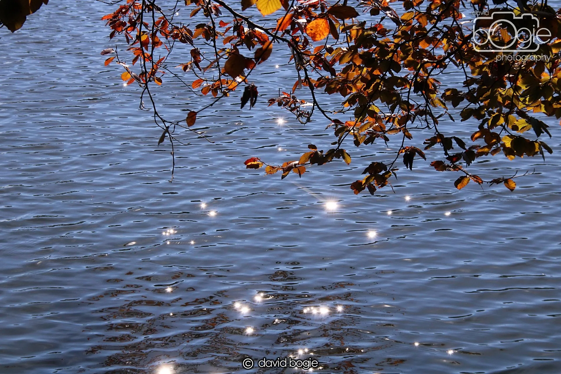 20240918 115953 Beveridge 0184.JPG