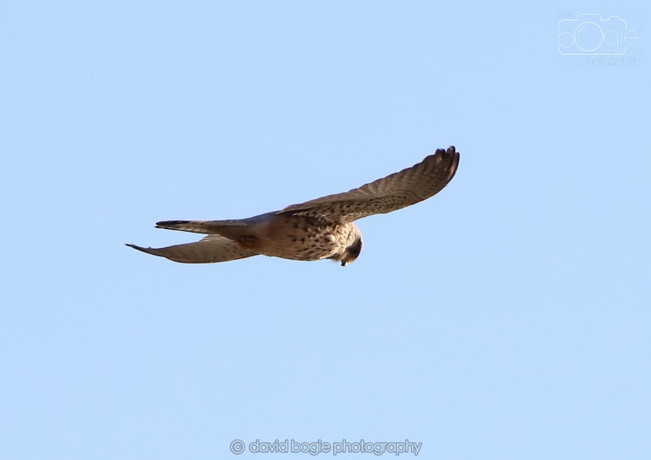 20260314 162240 Elie 0124.jpg