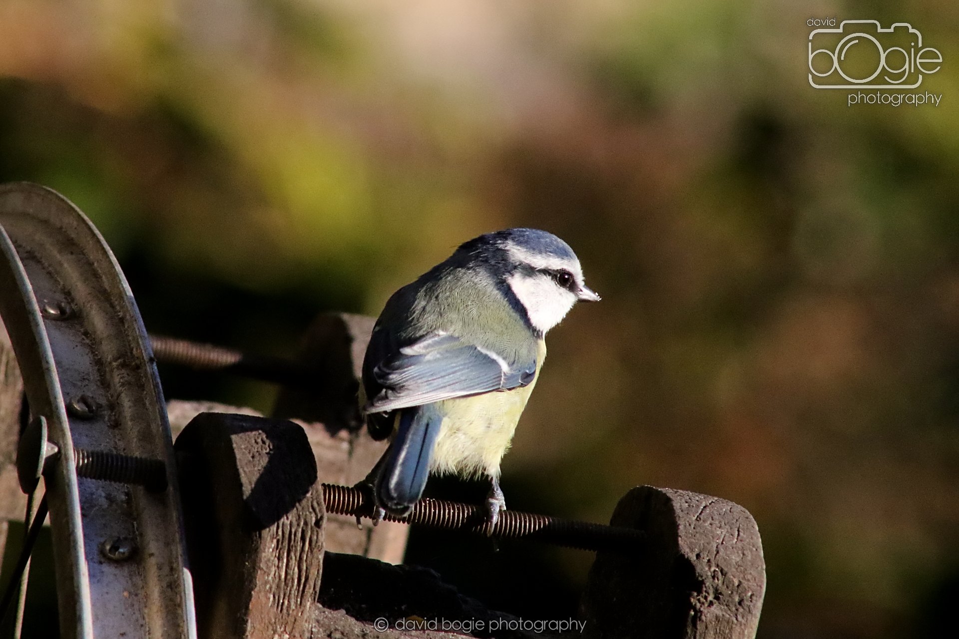 20251125 140954 Silverburn 0604.JPG