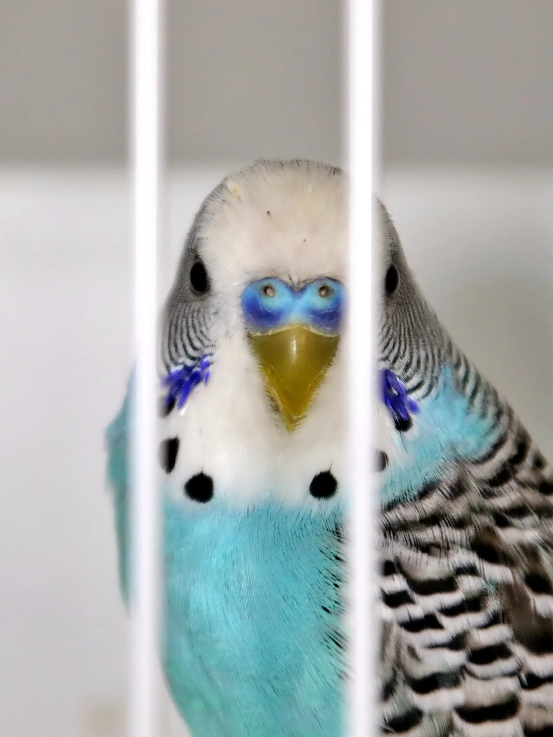 20251102 125029 Markinch CBS  0571.JPG