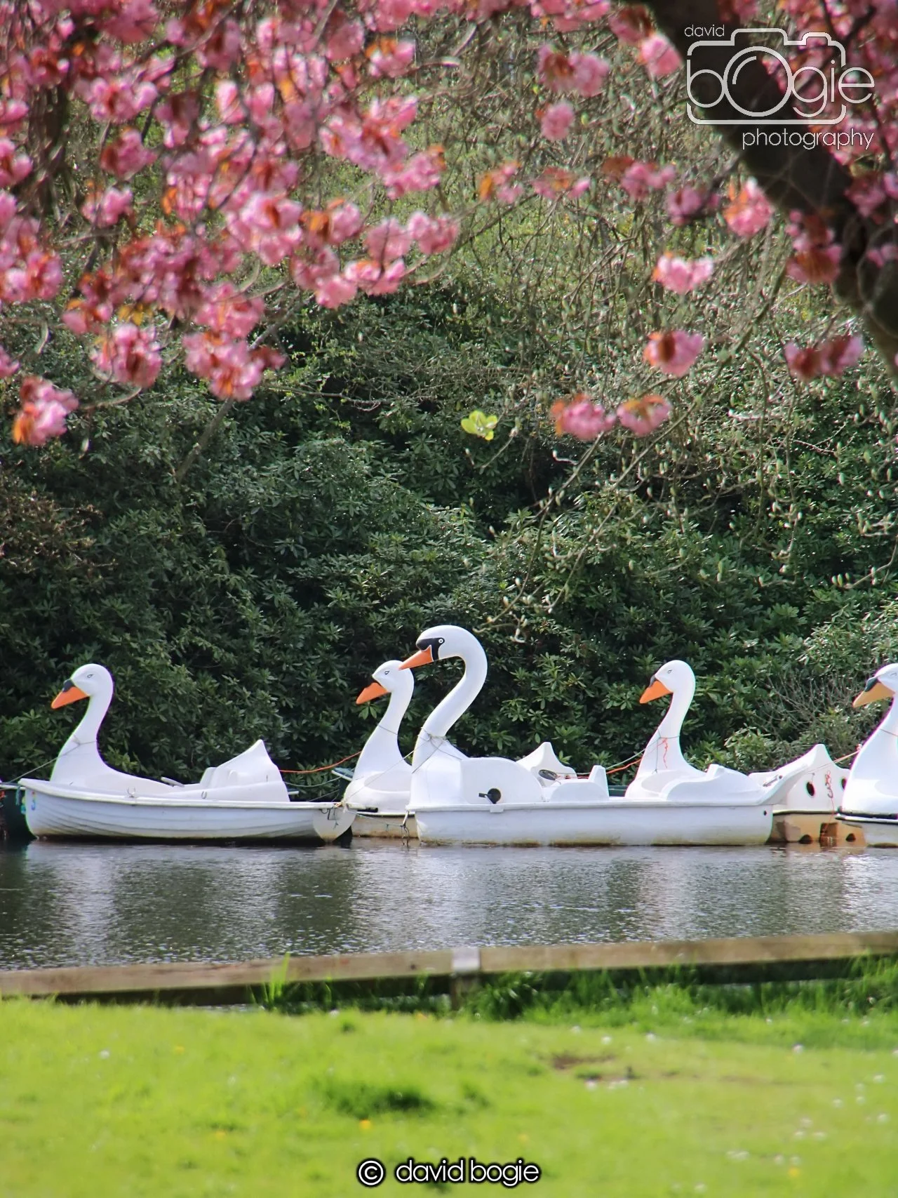 20240423 105958 Beveridge 0015.JPG