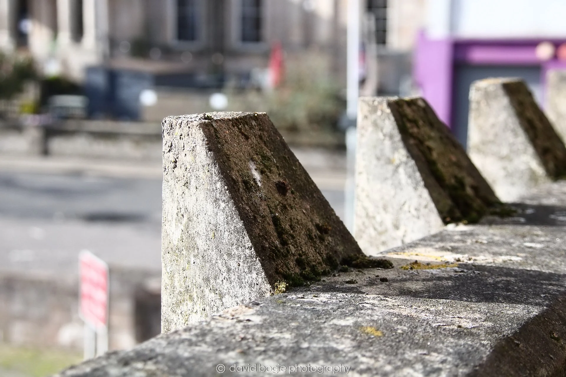 YEAR20250222 133100 Kirkcaldy 0053.jpg