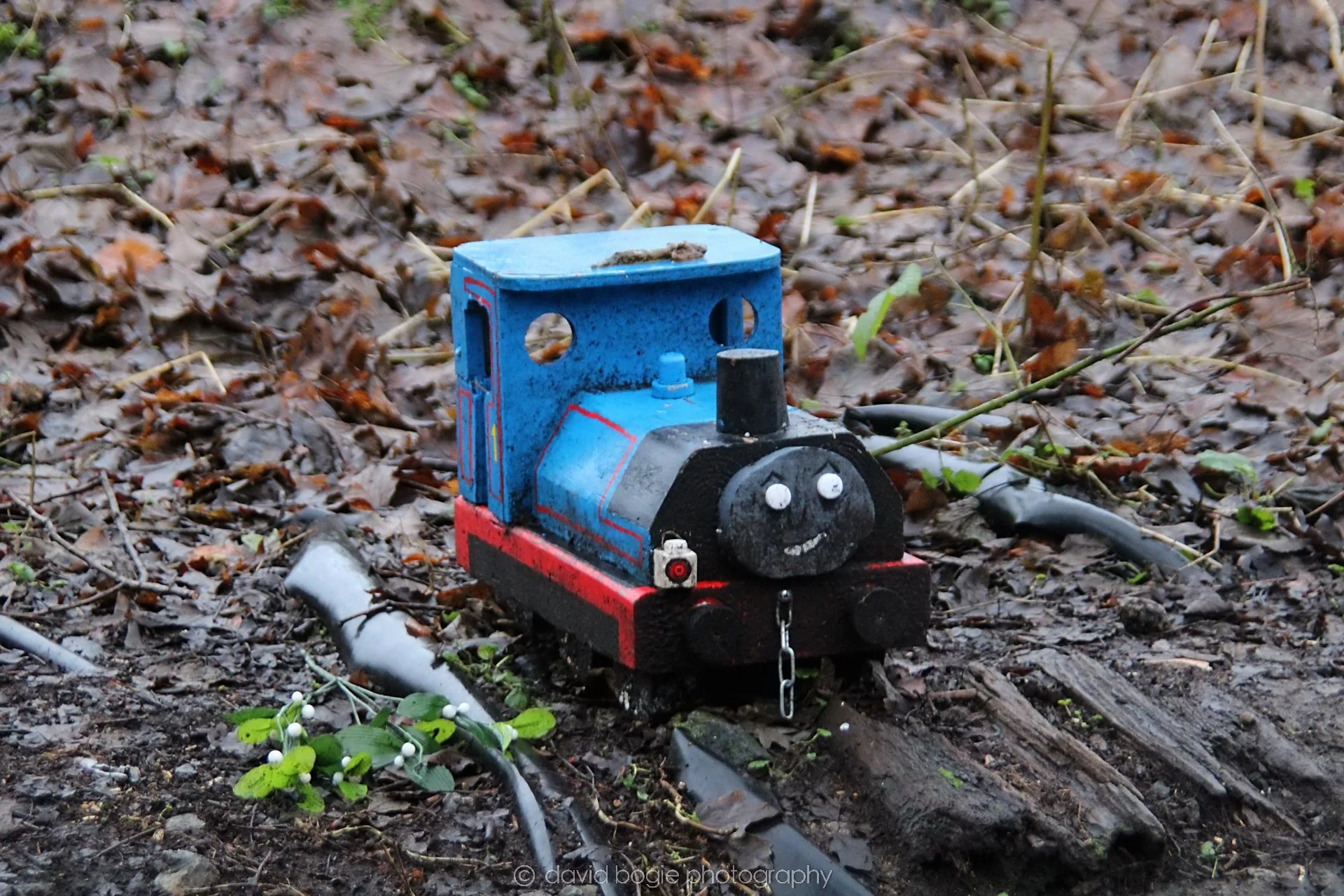 YEAR20220108 Dunfermline 00002.jpg