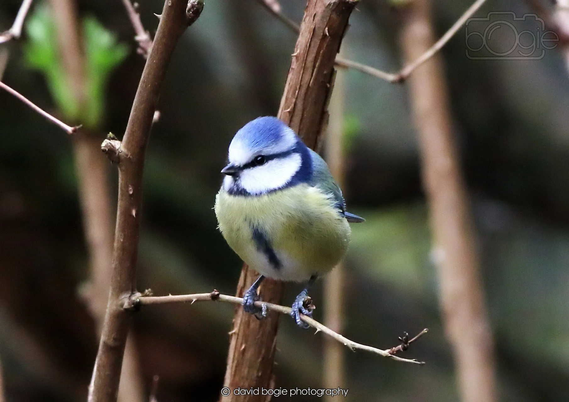 20260326 112004 Silverburn 0046.jpg