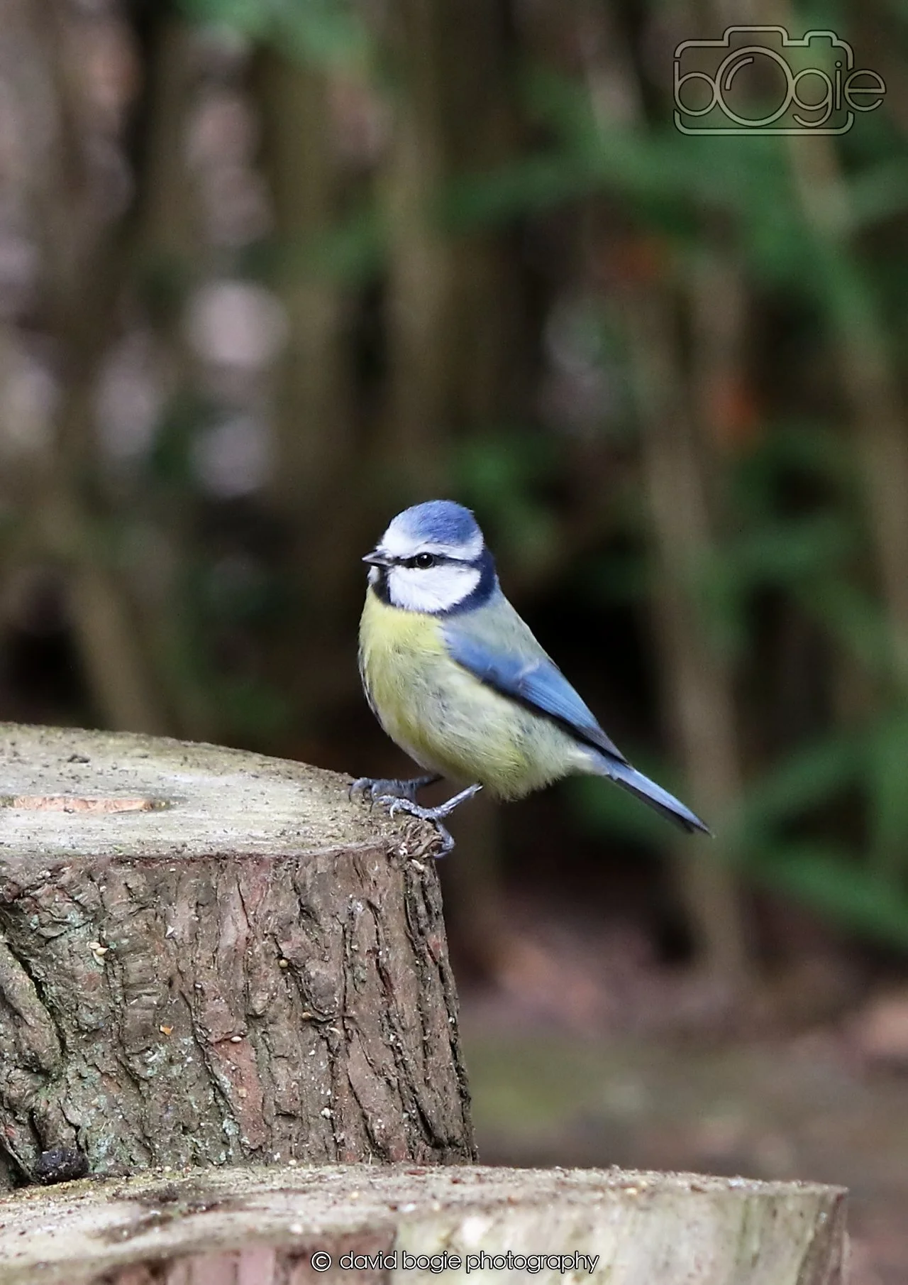 20260330 112528 Dunnikier 0135.jpg