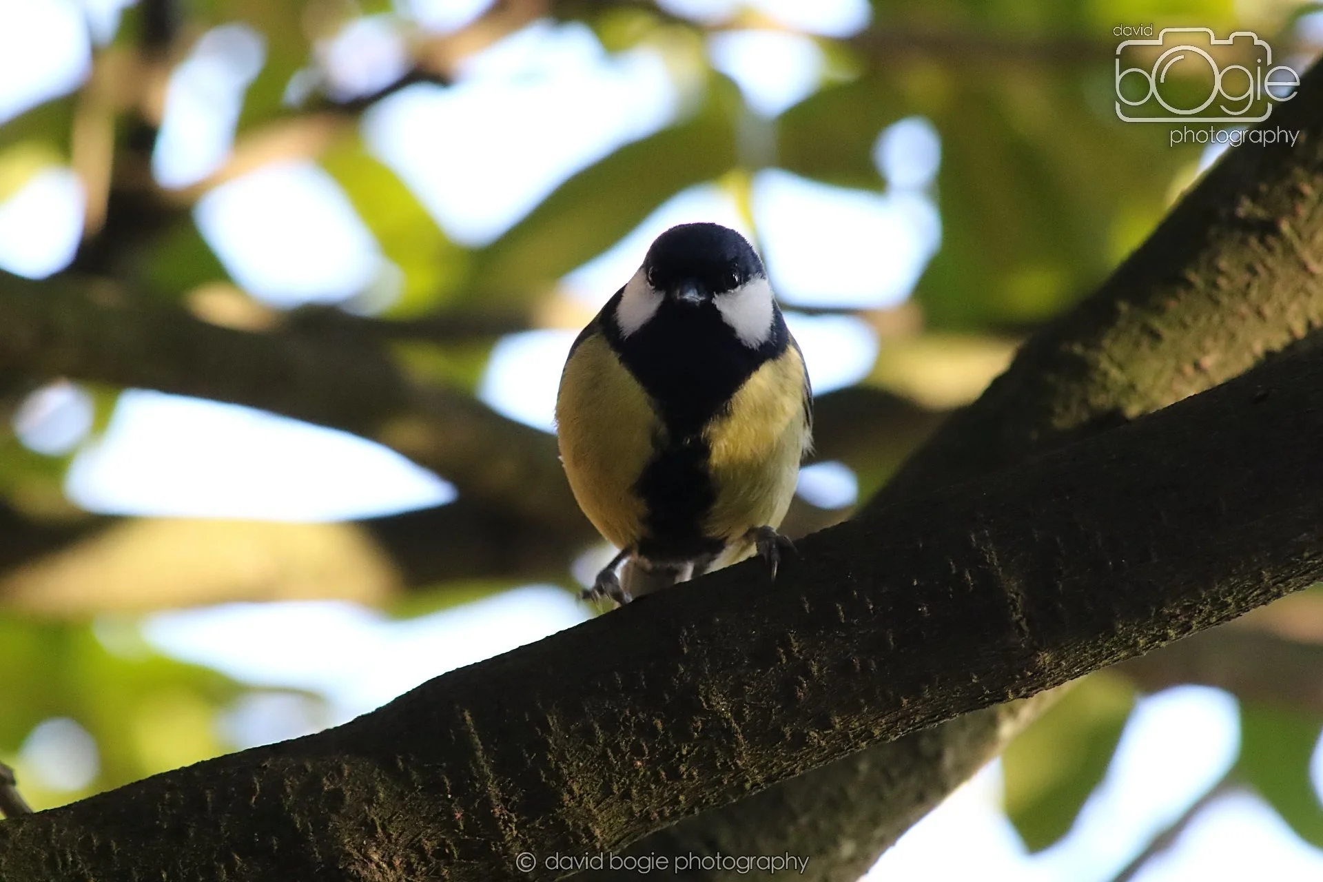 20251125 141650 Silverburn 0662.JPG