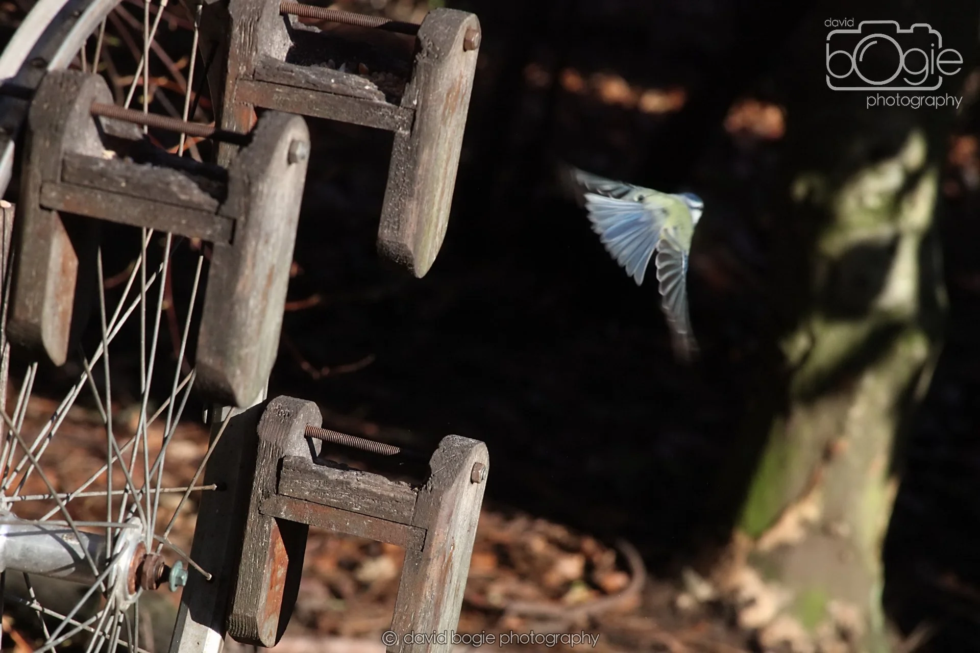 20251125 135509 Silverburn 0259.JPG