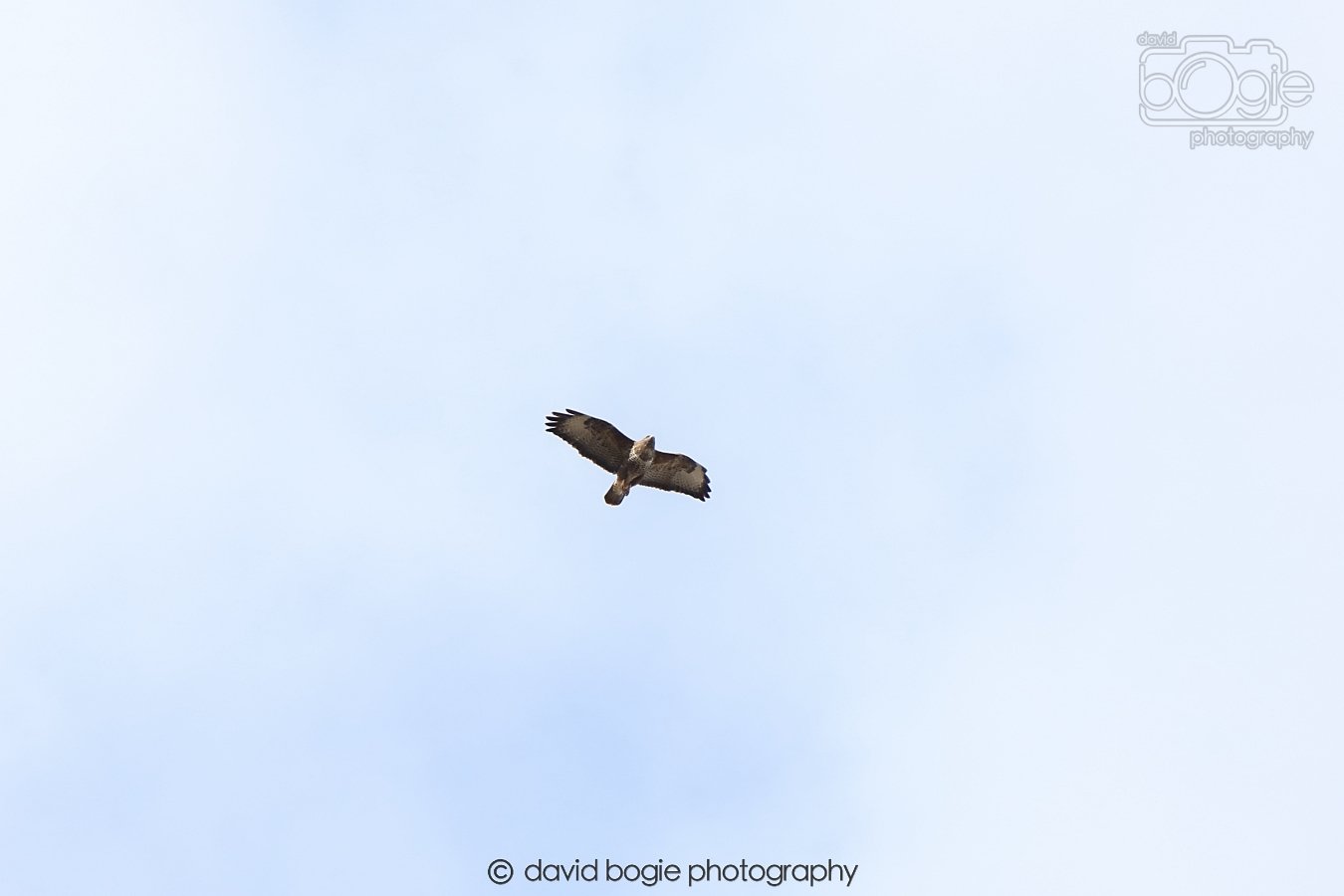 20260308 141241 Dunnikier 0022.jpg