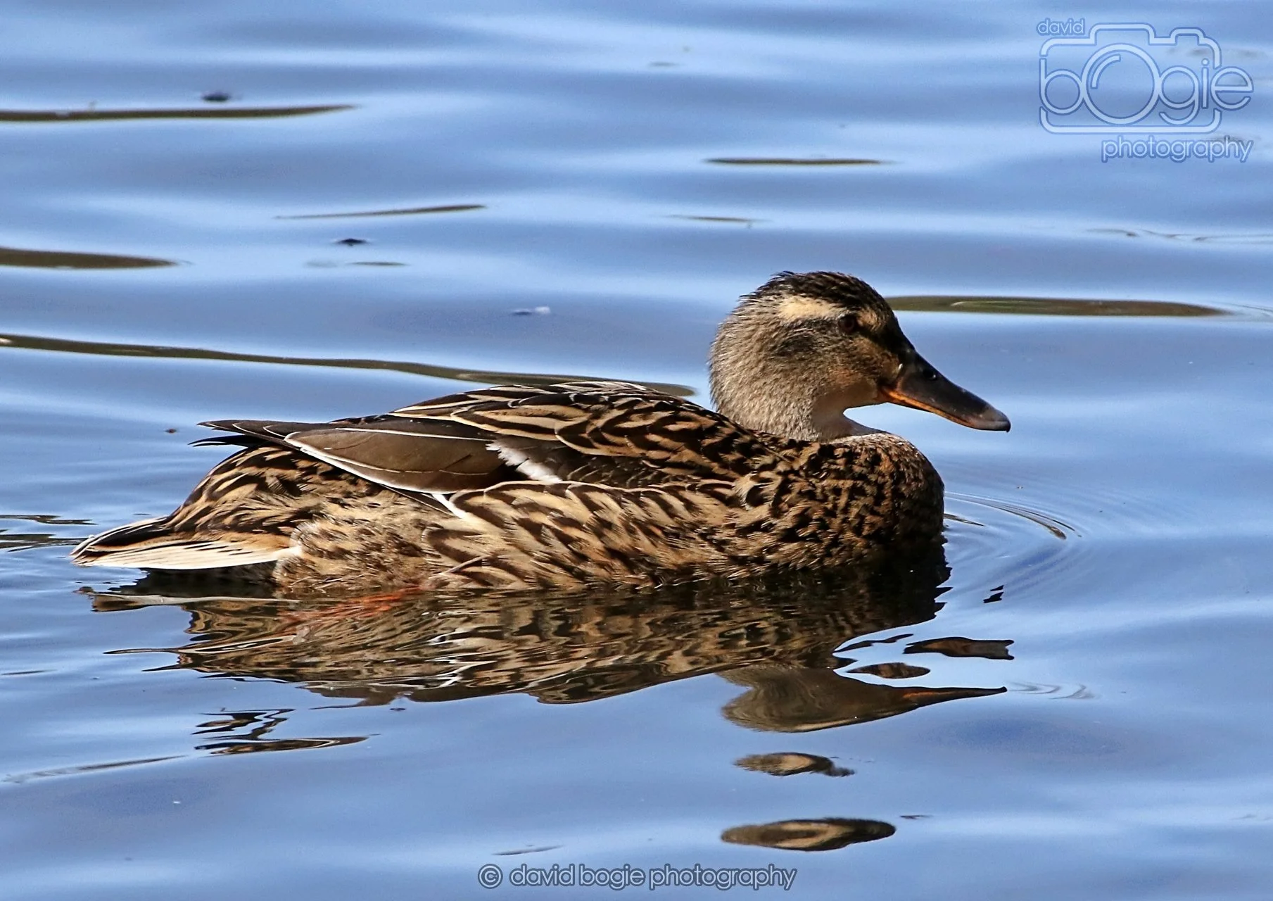 20260319 132518 Beveridge Park 0420.jpg