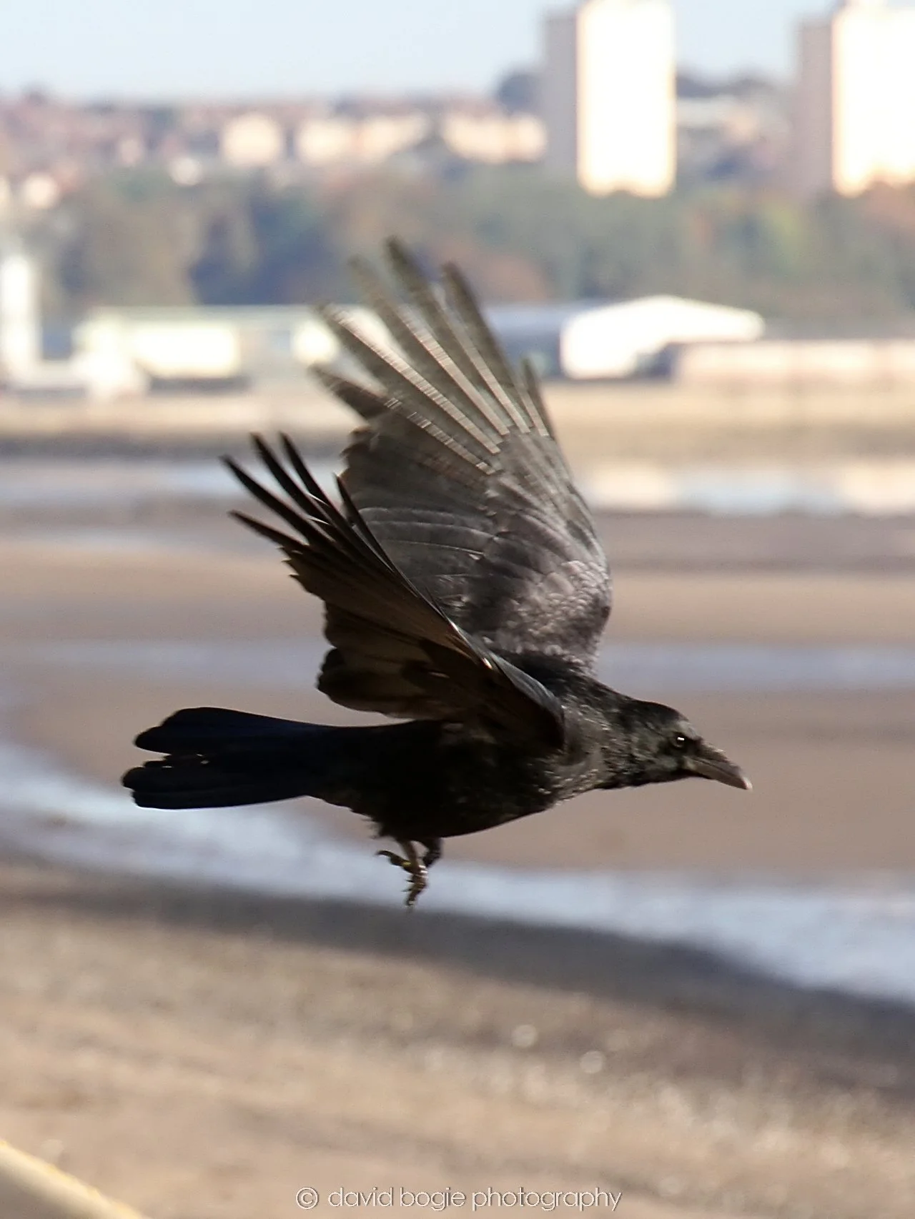 YEAR20231017 Kirkcaldy 103610 0586.jpg