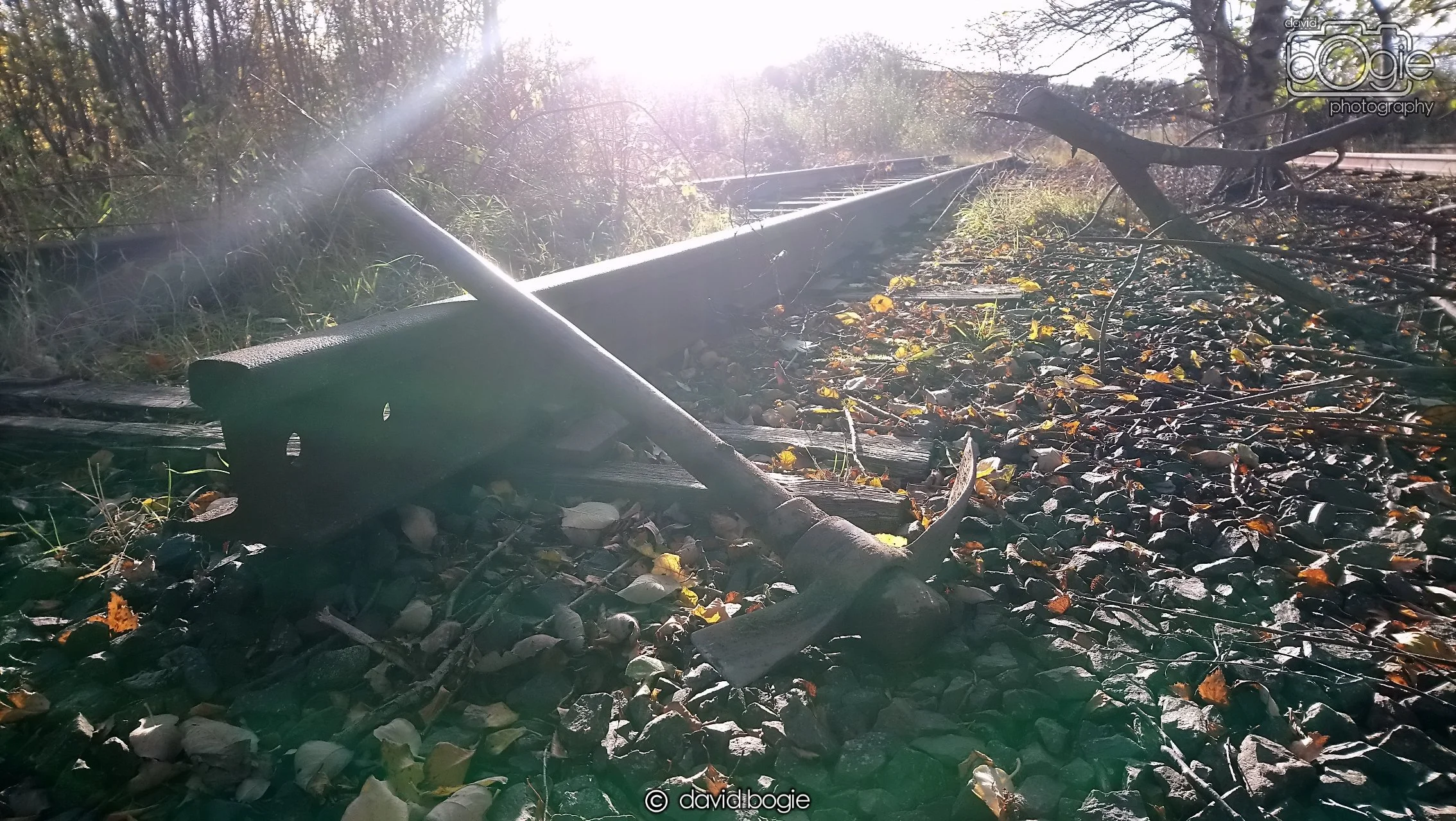 20181029 Westfield (17).JPG