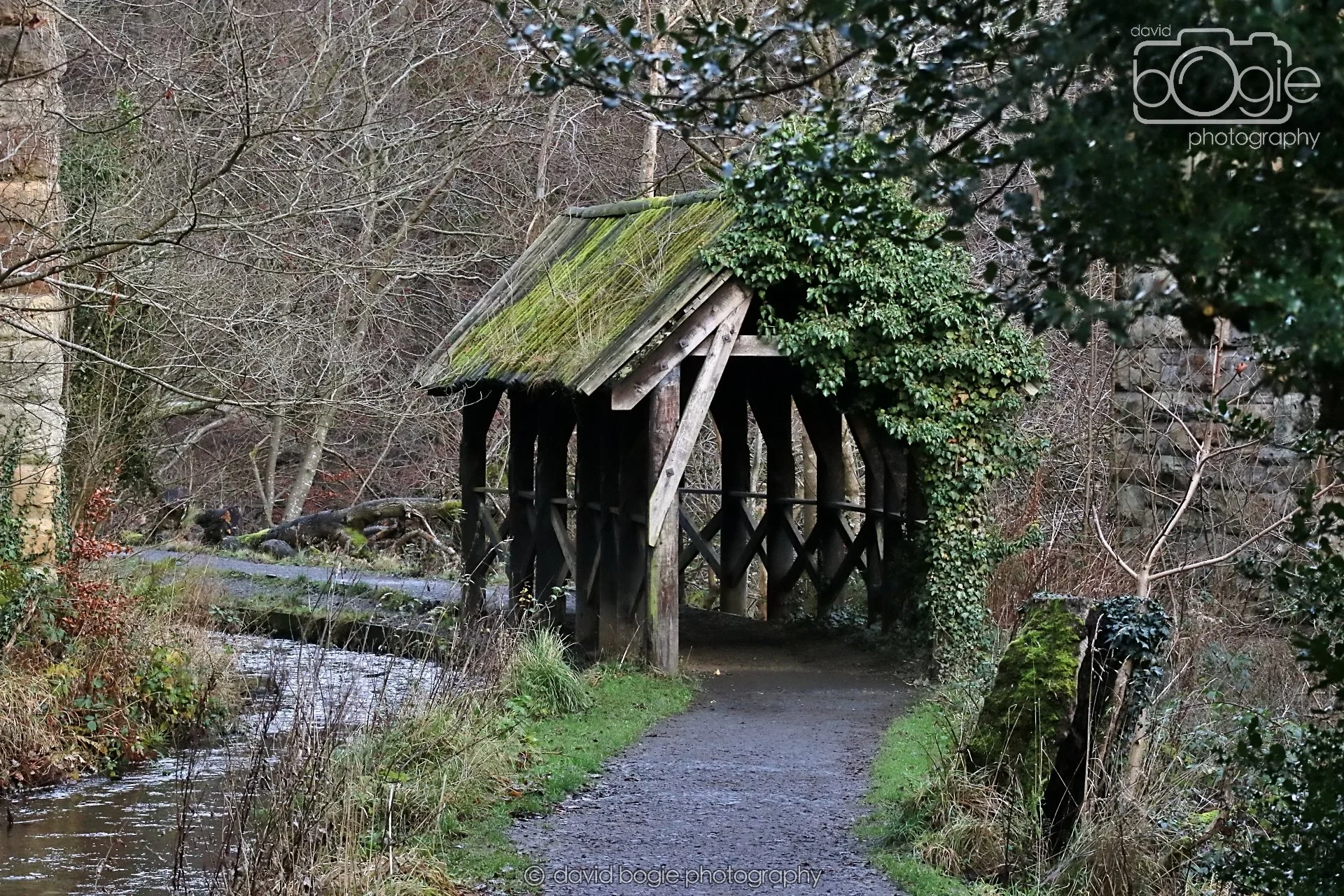 20251205 134514 East Calder 0168.JPG