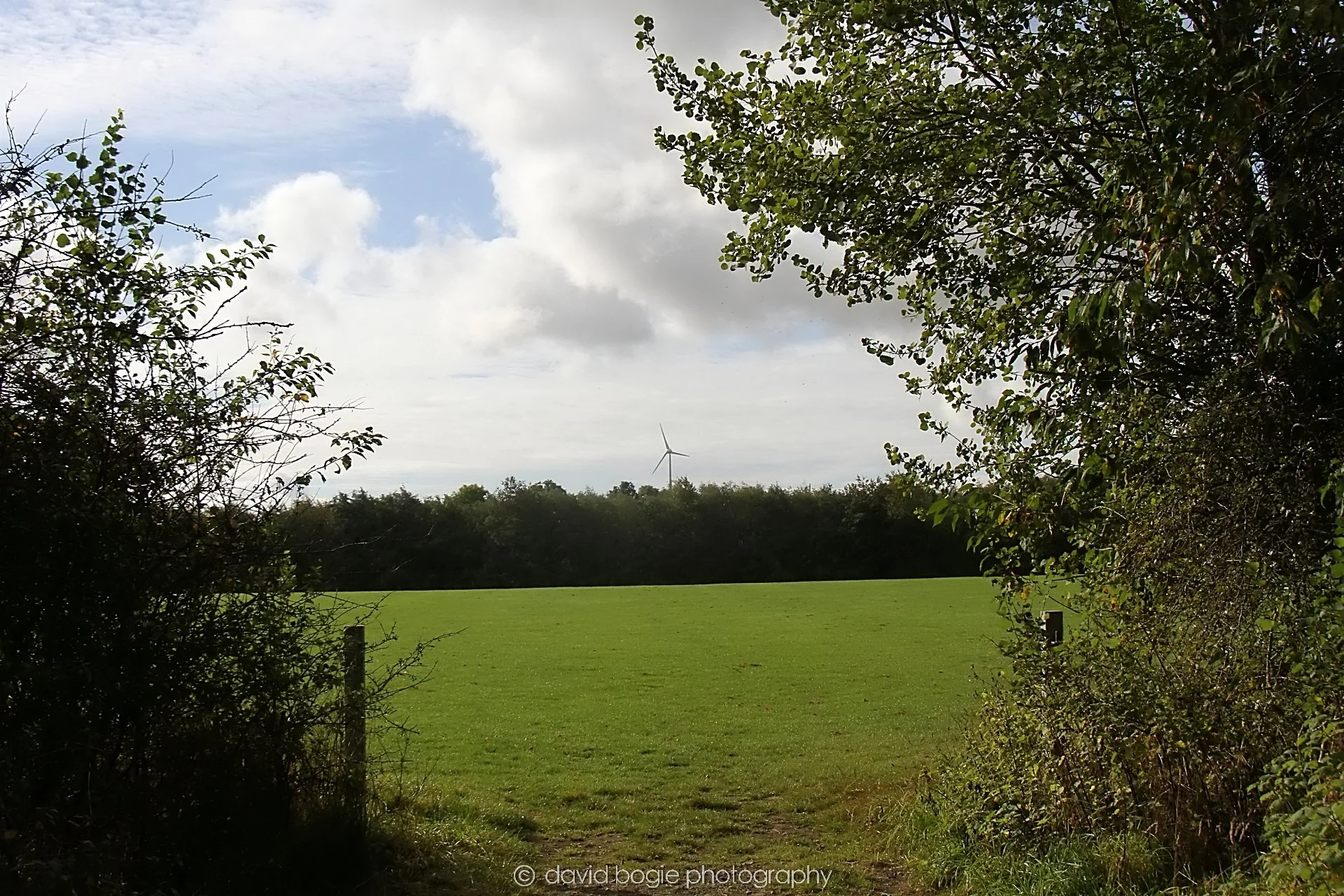 YEAR20230913 100414 Cardenden 0032.jpg