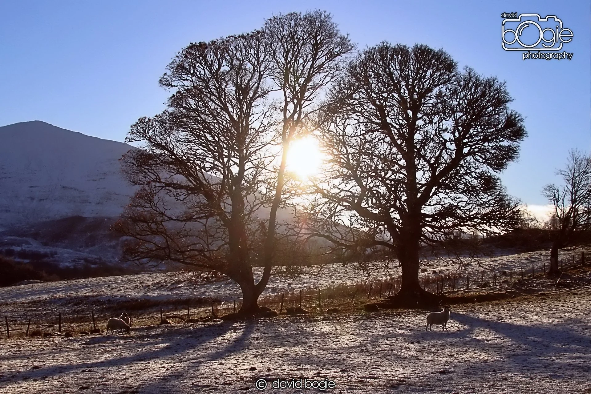 20221215 00265 Aberfeldy.JPG