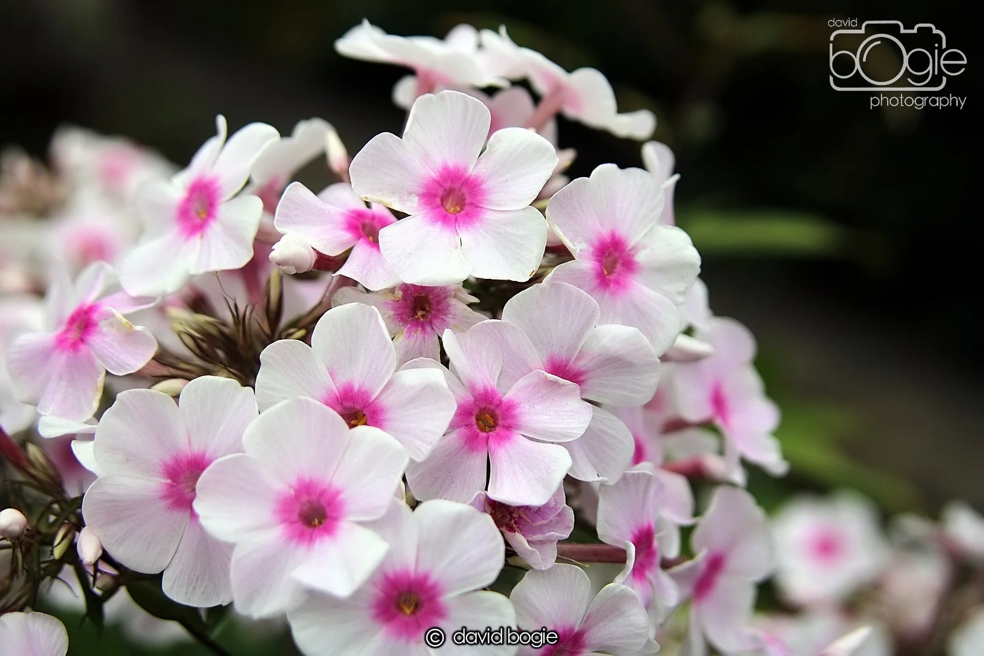 20211205 202812 Kinglassie 0003.JPG