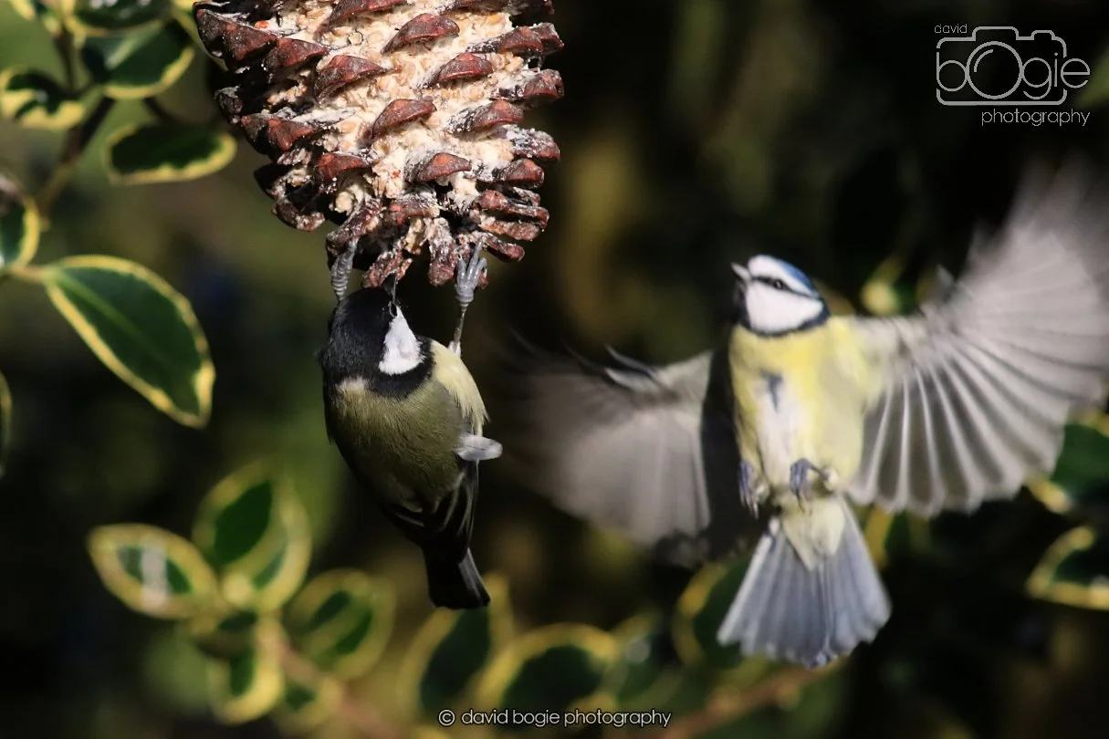 20251231 135242 Silverburn 0312.JPG