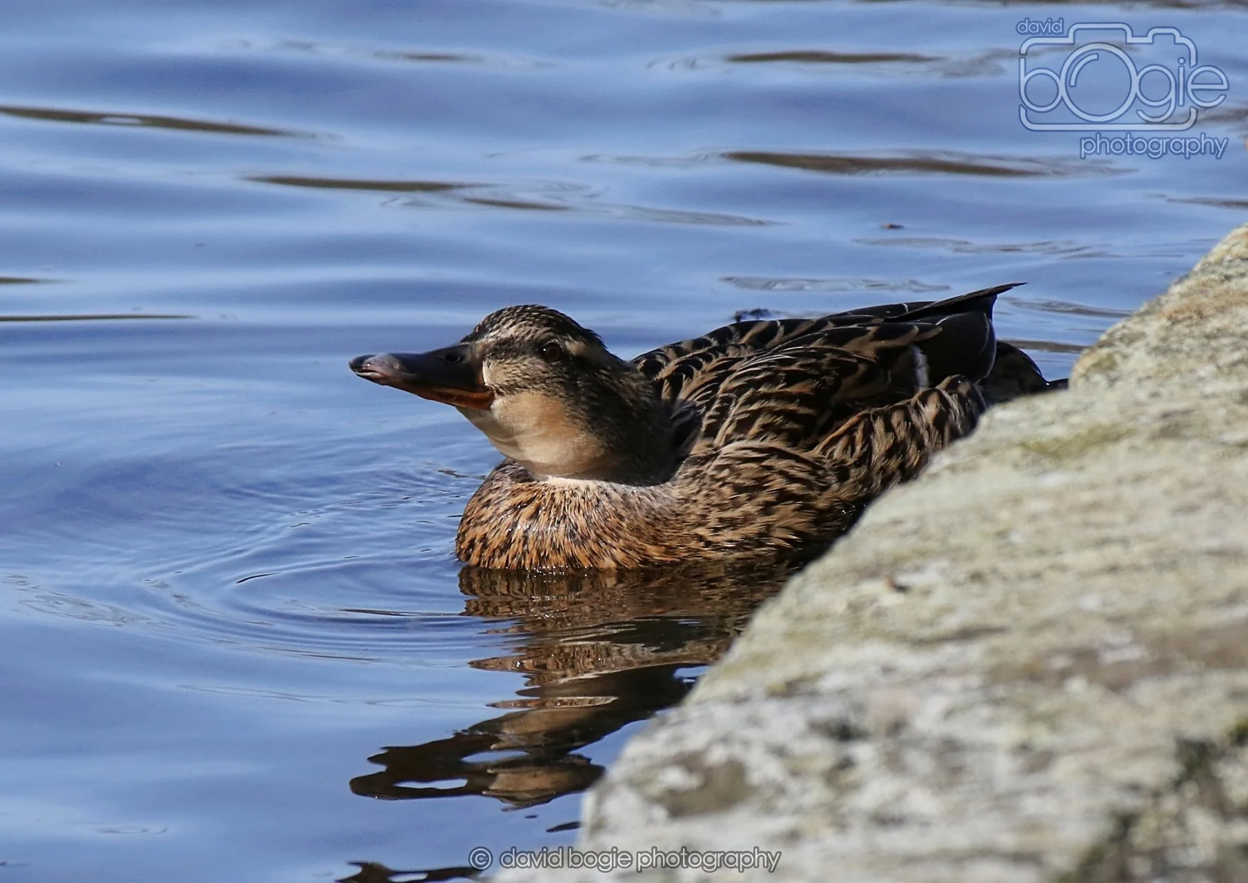 20260319 132521 Beveridge Park 0421.jpg