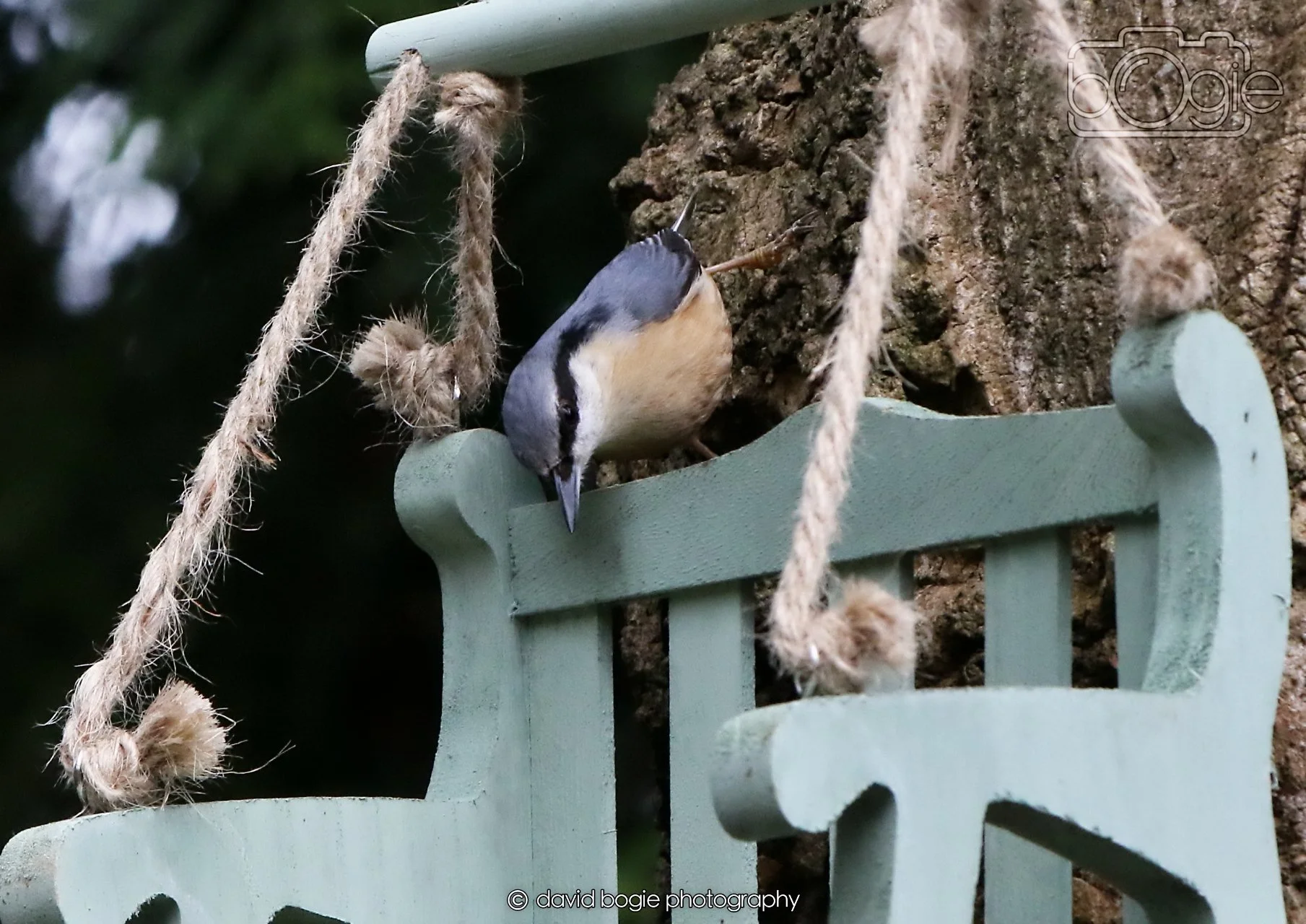 20260330 115946 Dunnikier 0328.jpg