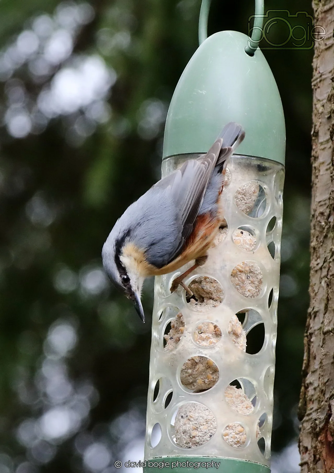 20260330 112422 Dunnikier 0118.jpg