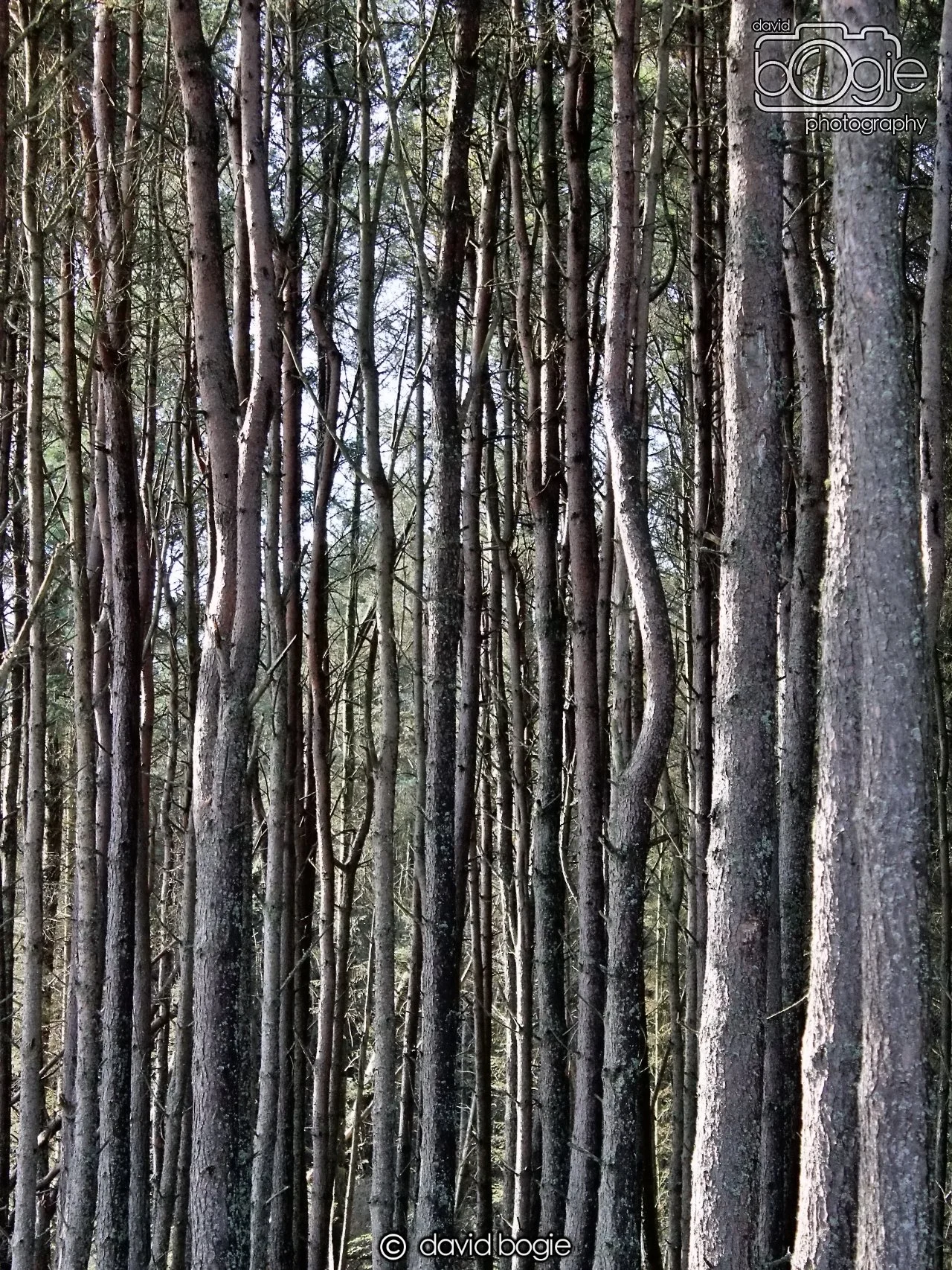 20191014 143318 Tentsmuir 0038.JPG