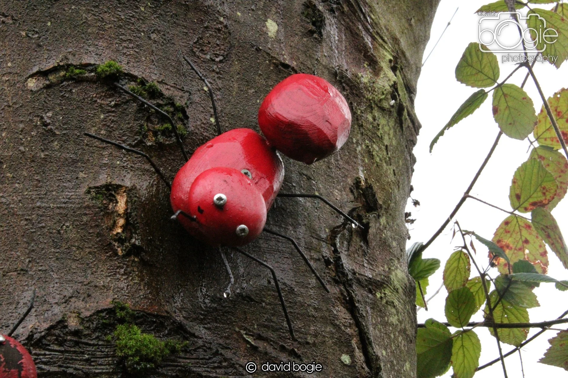 20220108 Dunfermline 00001.JPG