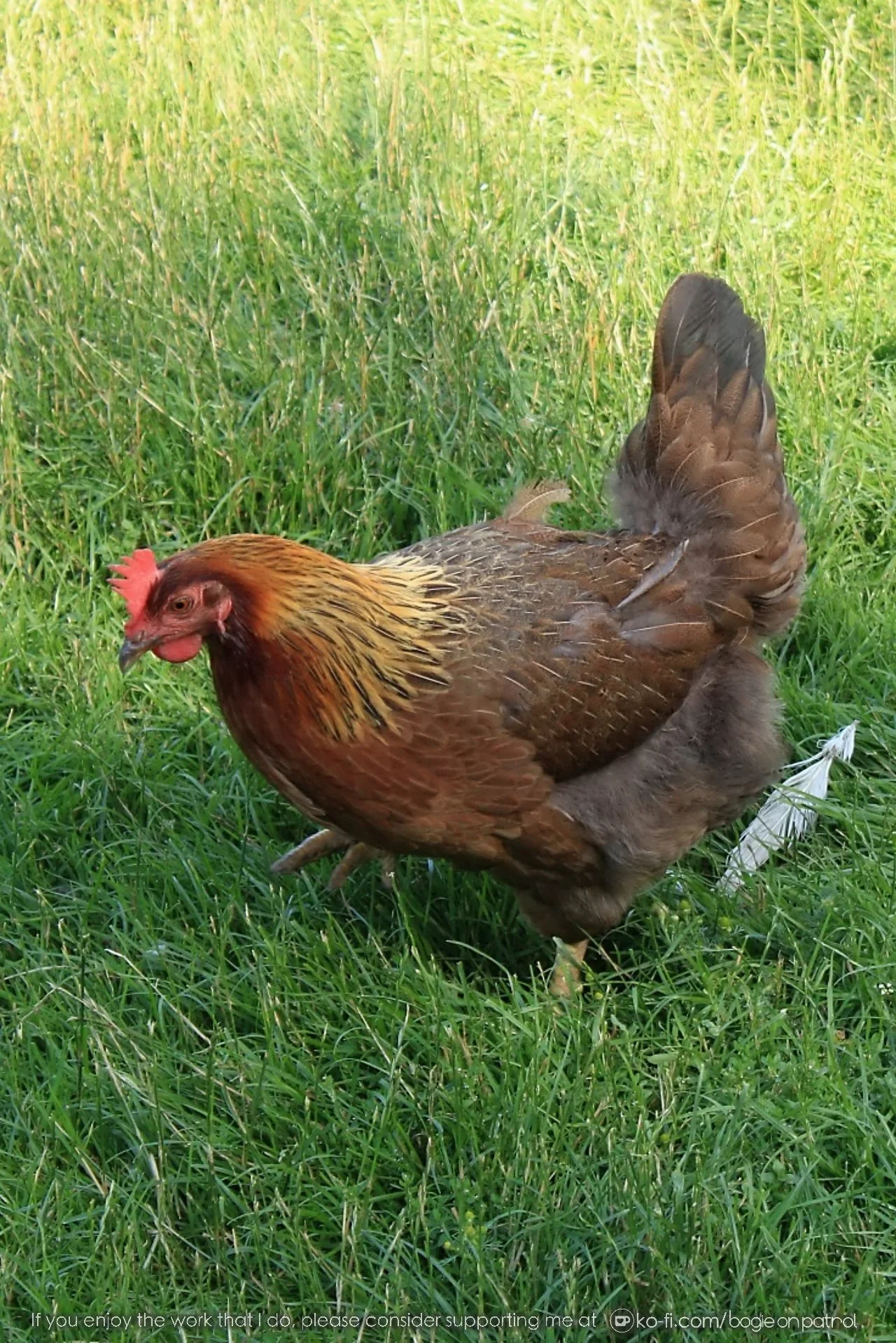 20190722 163610 Beamish .jpg