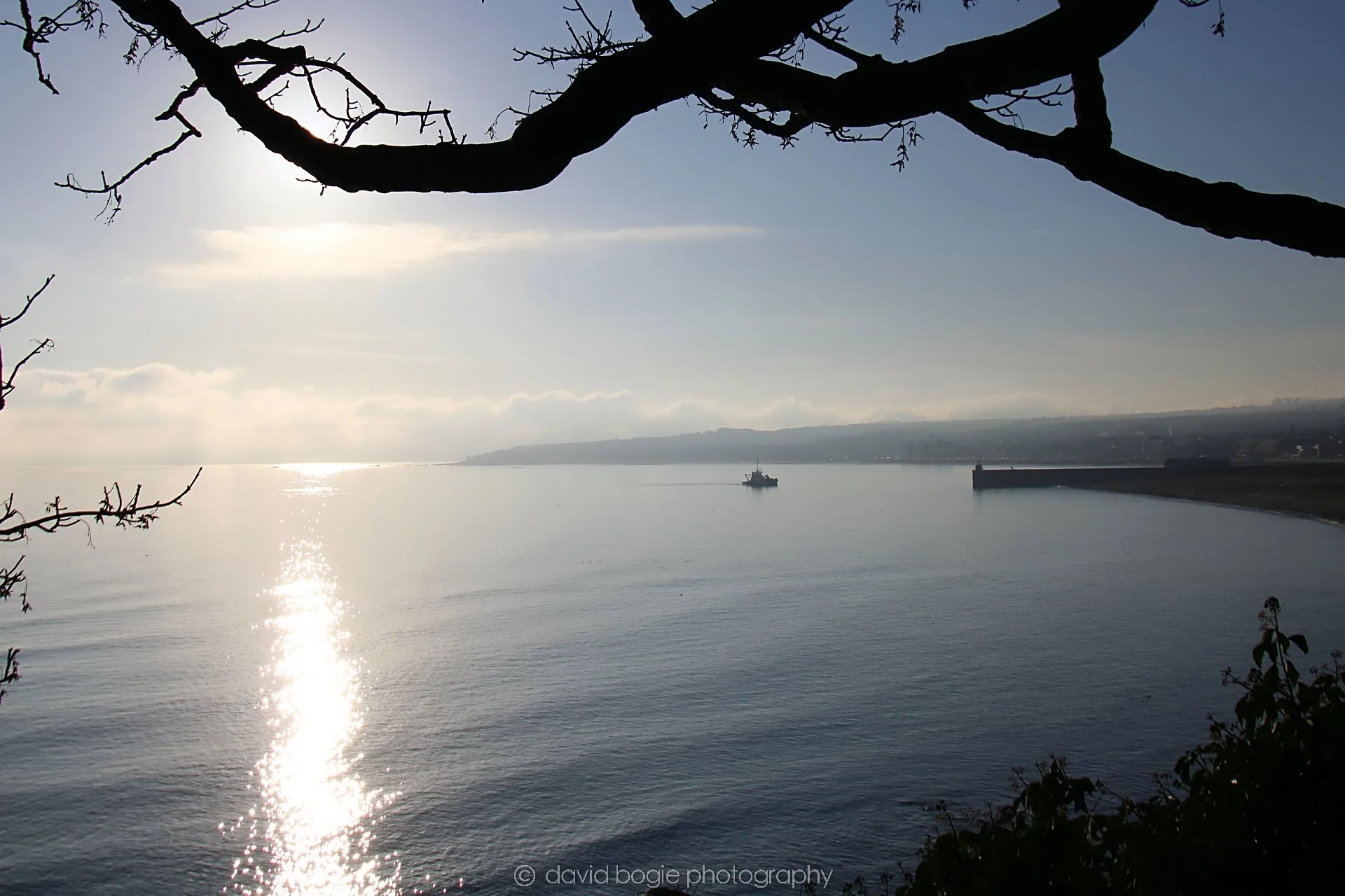 YEAR20221212 Kirkcaldy 00010 .jpg