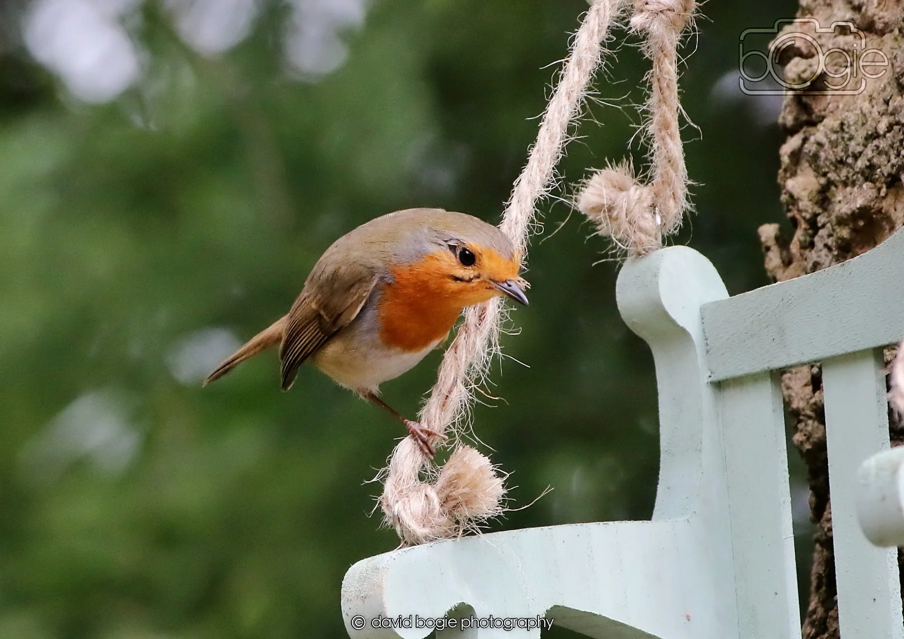 20260330 120708 Dunnikier 0372.jpg